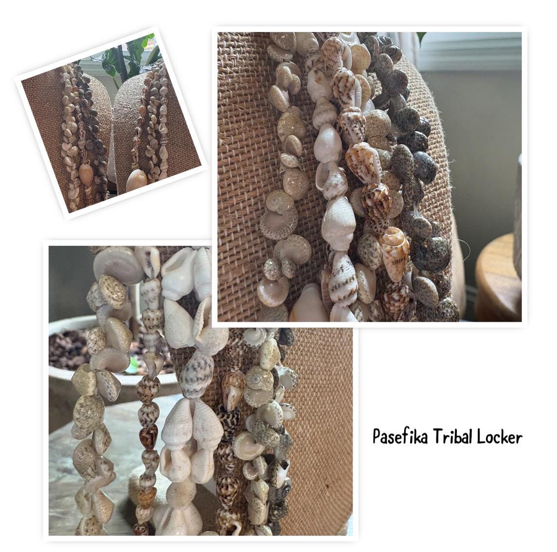 Seashell Lei Set: Authentic Pacific Ocean Shells, Graduation, Wedding