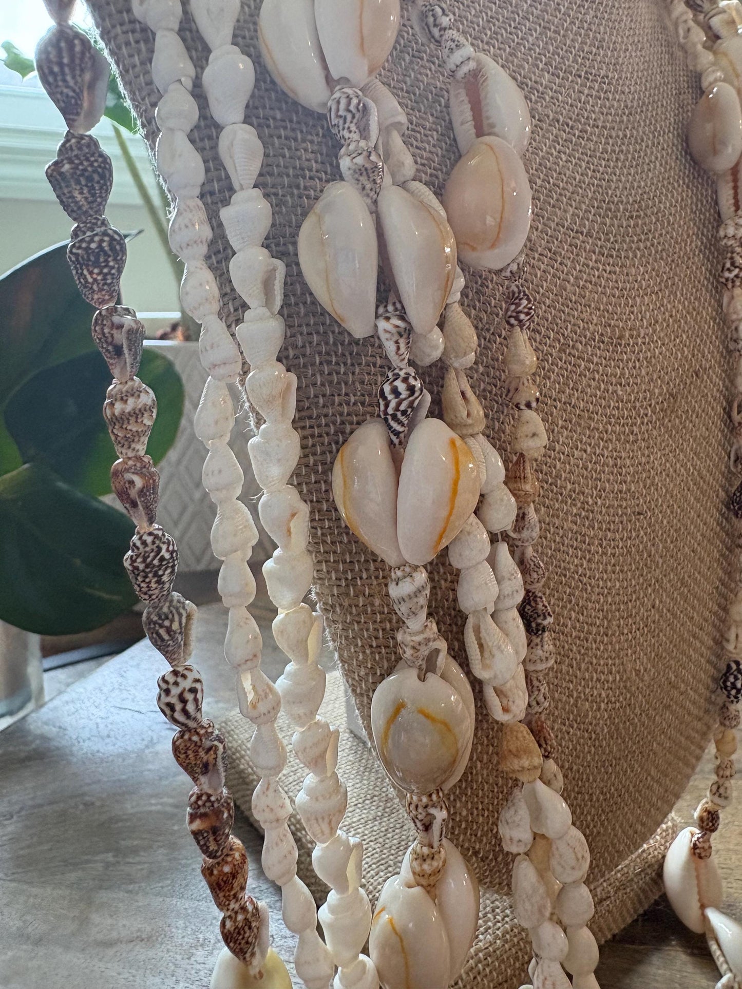 Seashell Lei Set: 6 Pacific Ocean Leis, Graduation Wedding Celebration