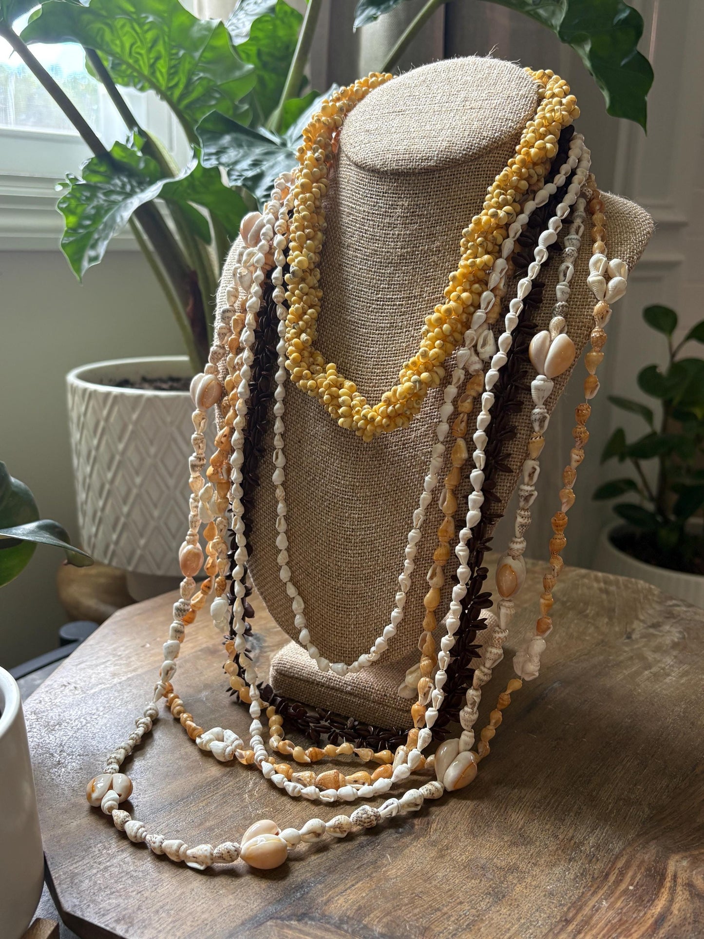 Seashell Lei Set: Authentic Pacific Ocean Shells, Celebration Leis