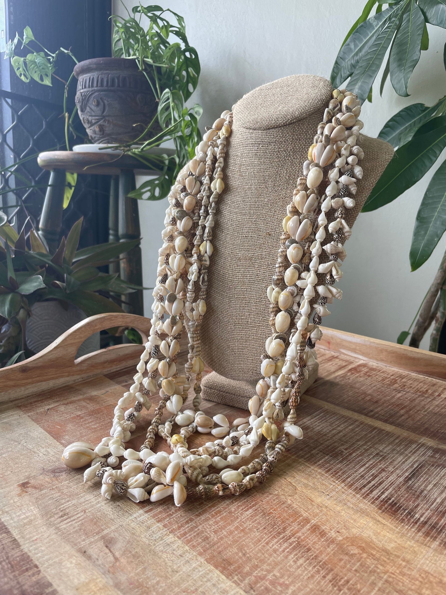 Seashell Lei Set – Pacific Island Celebration Leis, 6 Piece (30-38”)