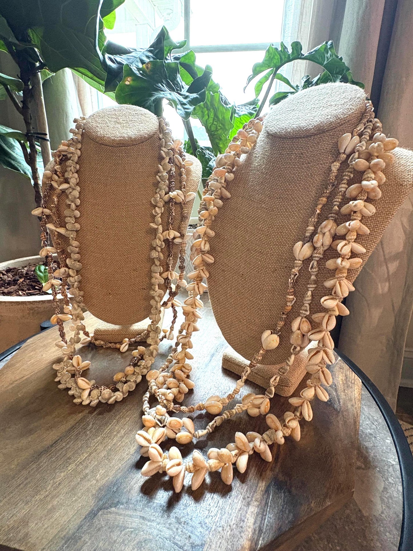 Seashell Lei Collection: Pacific Ocean Shell Leis, Set of 6
