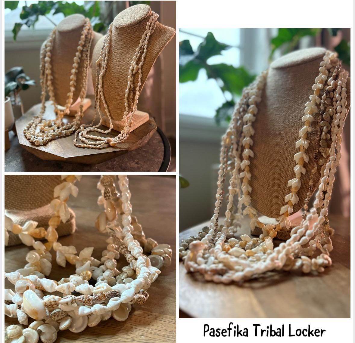 Pacific Seashell Lei Set: Authentic Celebration Leis