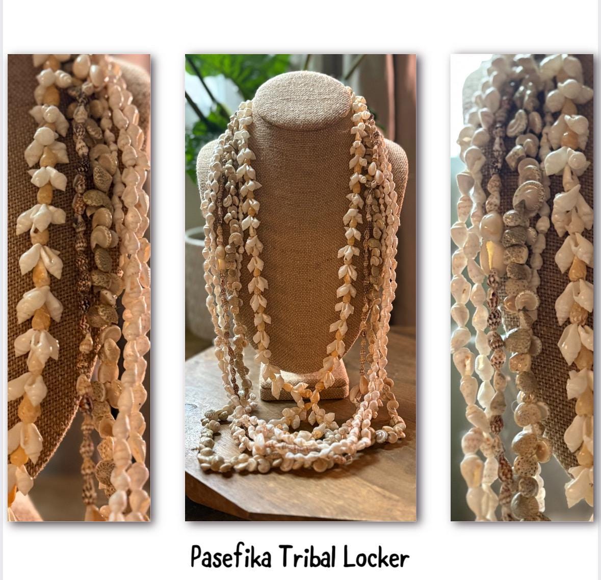 Pacific Seashell Lei Set: Authentic Celebration Leis