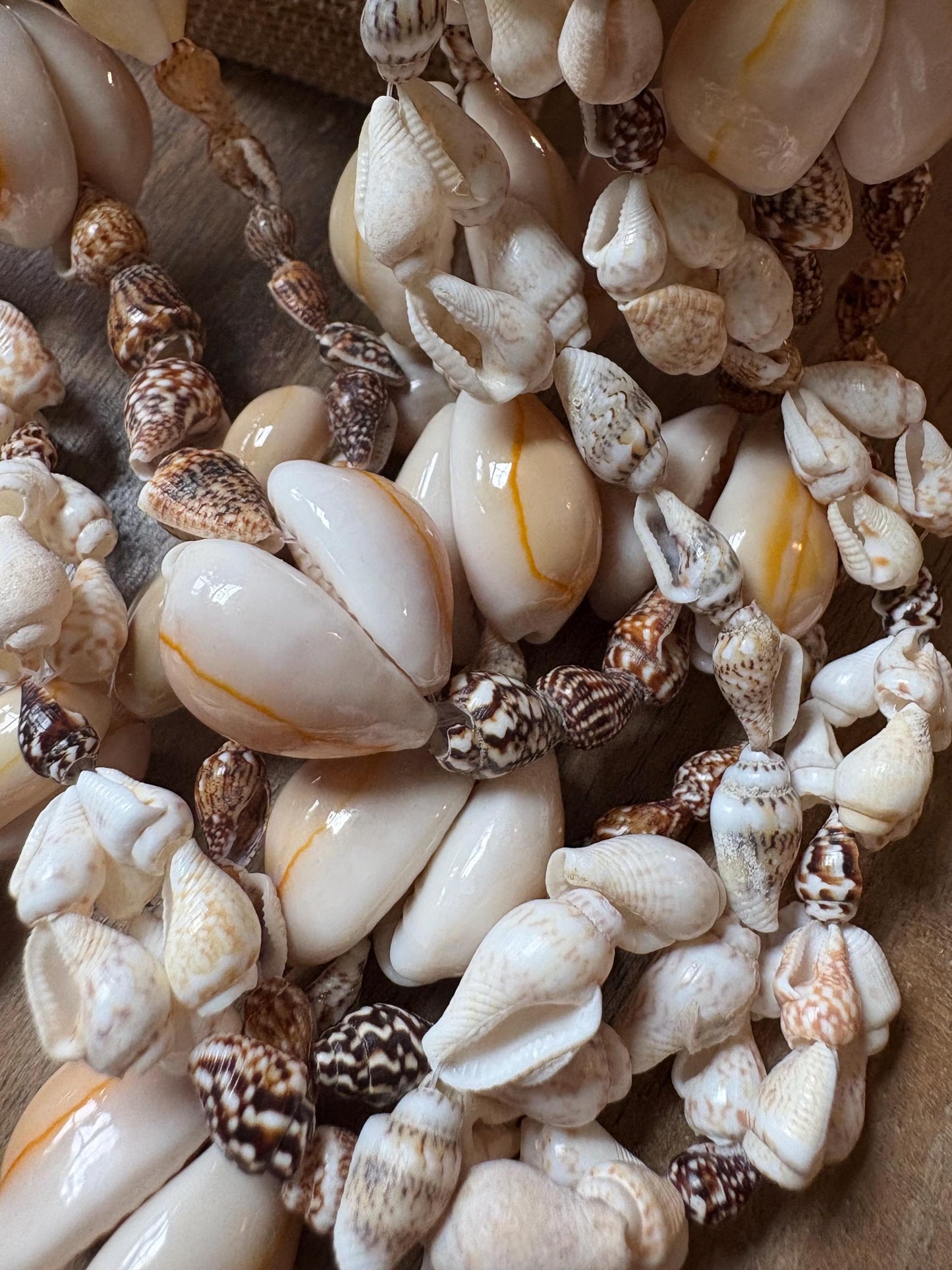 Cowrie Shell Lei Set: Authentic Pacific Island Celebration Necklaces