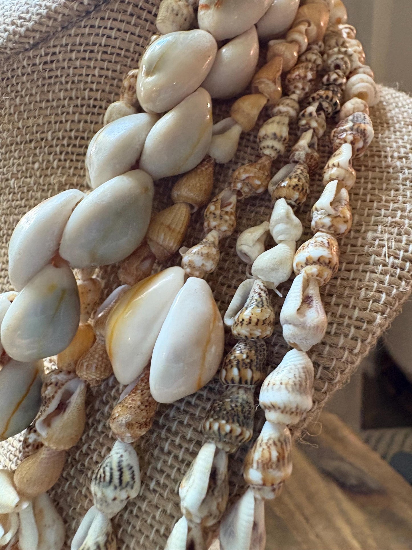 Seashell Lei Set: Authentic Pacific Ocean Shells, Polynesian Celebration Leis