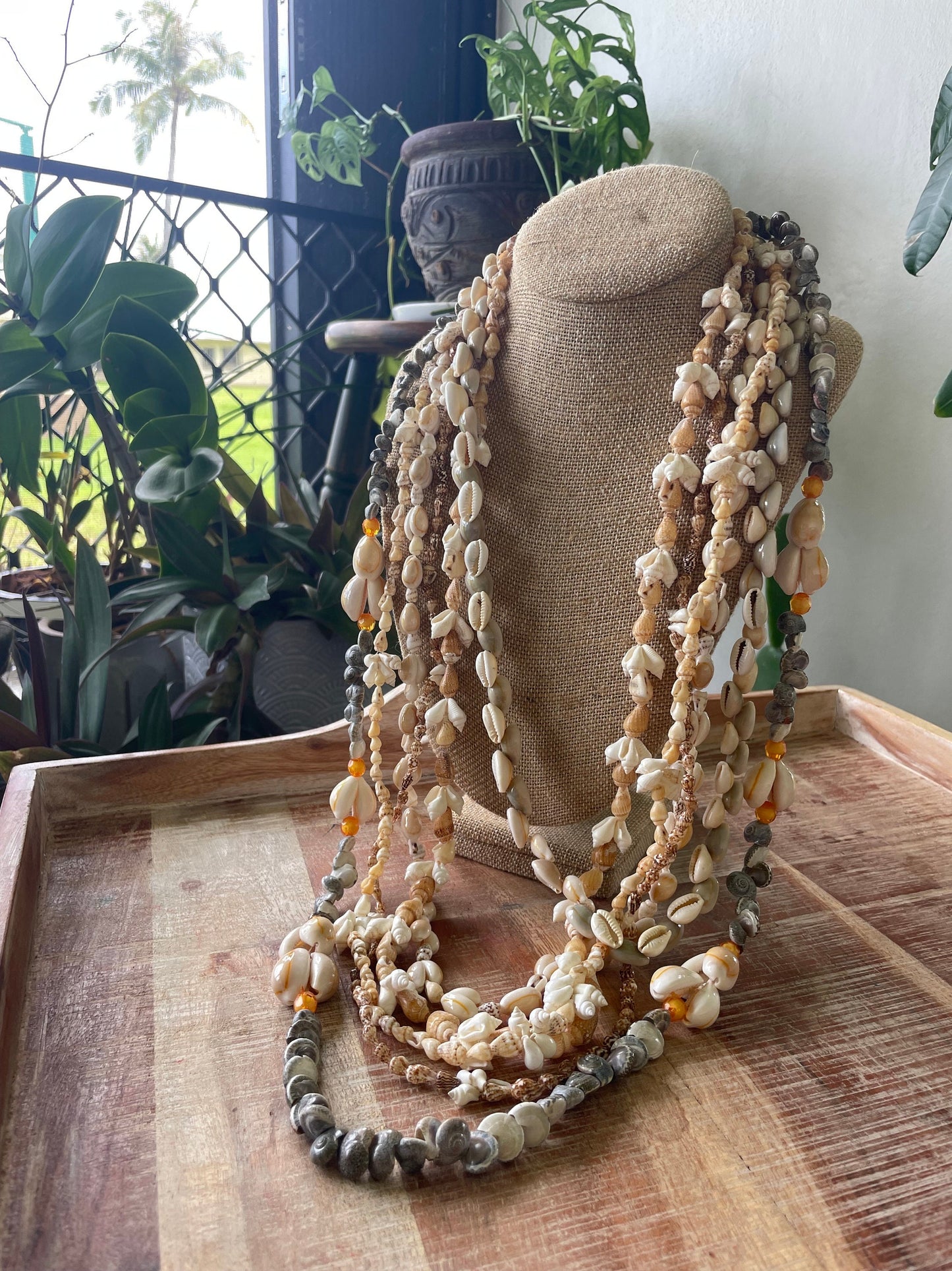 Authentic Seashell Lei Set – Polynesian Celebration Leis, Graduation, Wedding