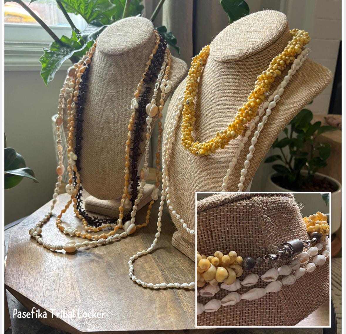 Seashell Lei Set: Authentic Pacific Ocean Shells, Celebration Leis