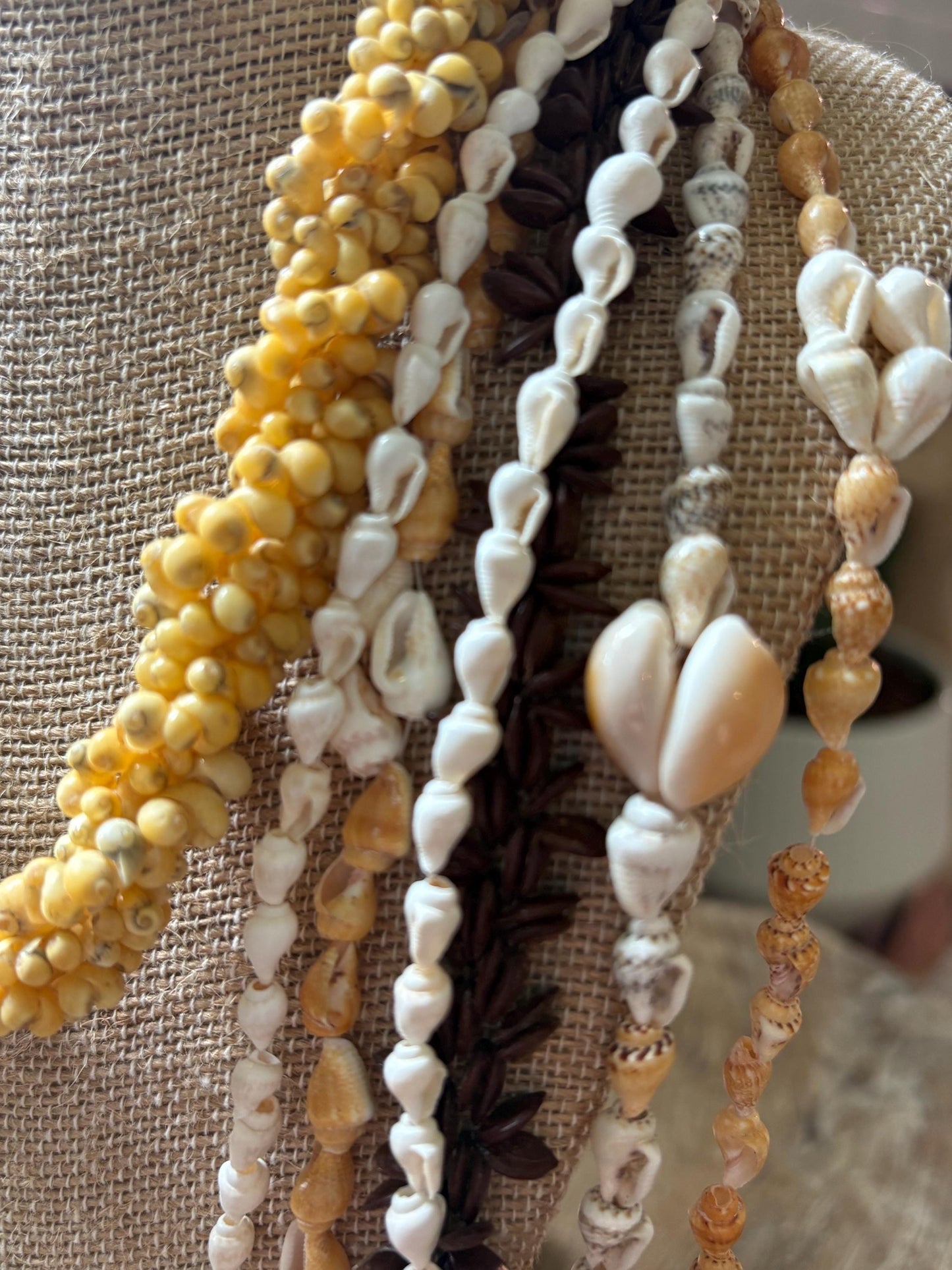 Seashell Lei Set: Authentic Pacific Ocean Shells, Celebration Leis