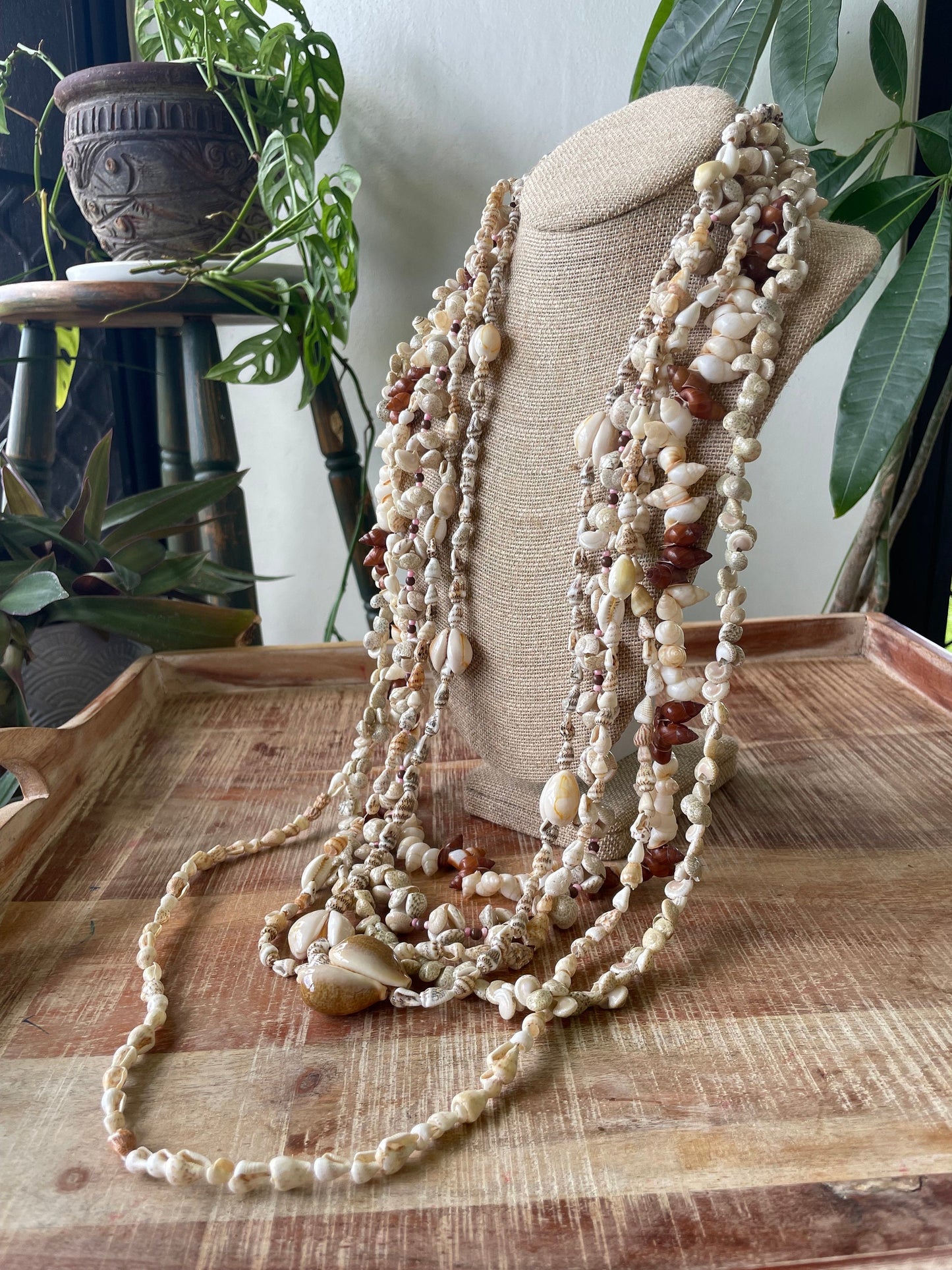 Seashell Lei Set – Authentic Pacific Island Style, Celebration Leis