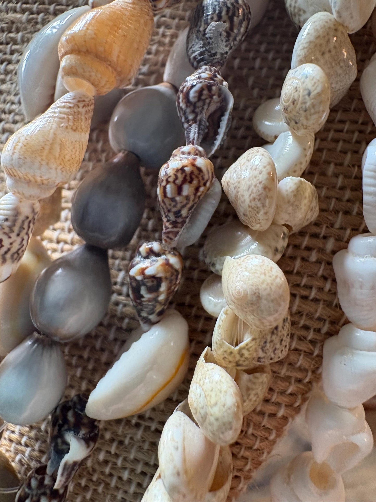 Seashell Lei Set: Authentic Hawaiian Celebration Leis, 40"-27"