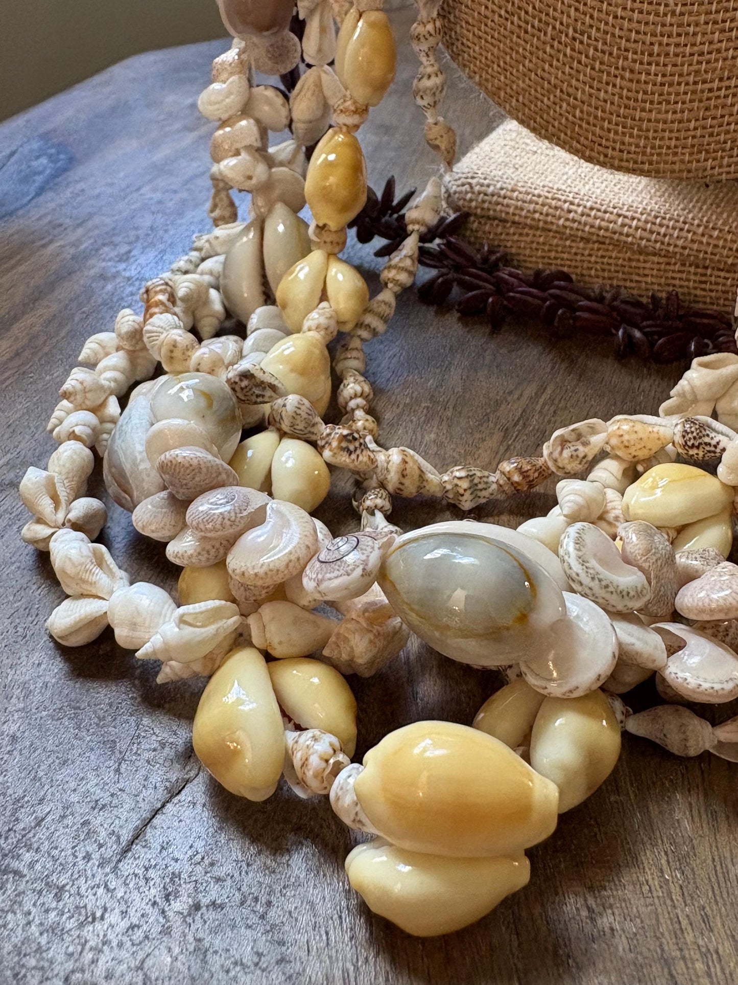 Seashell Lei Collection – Authentic Pacific Island Celebration Leis (Set of 6)
