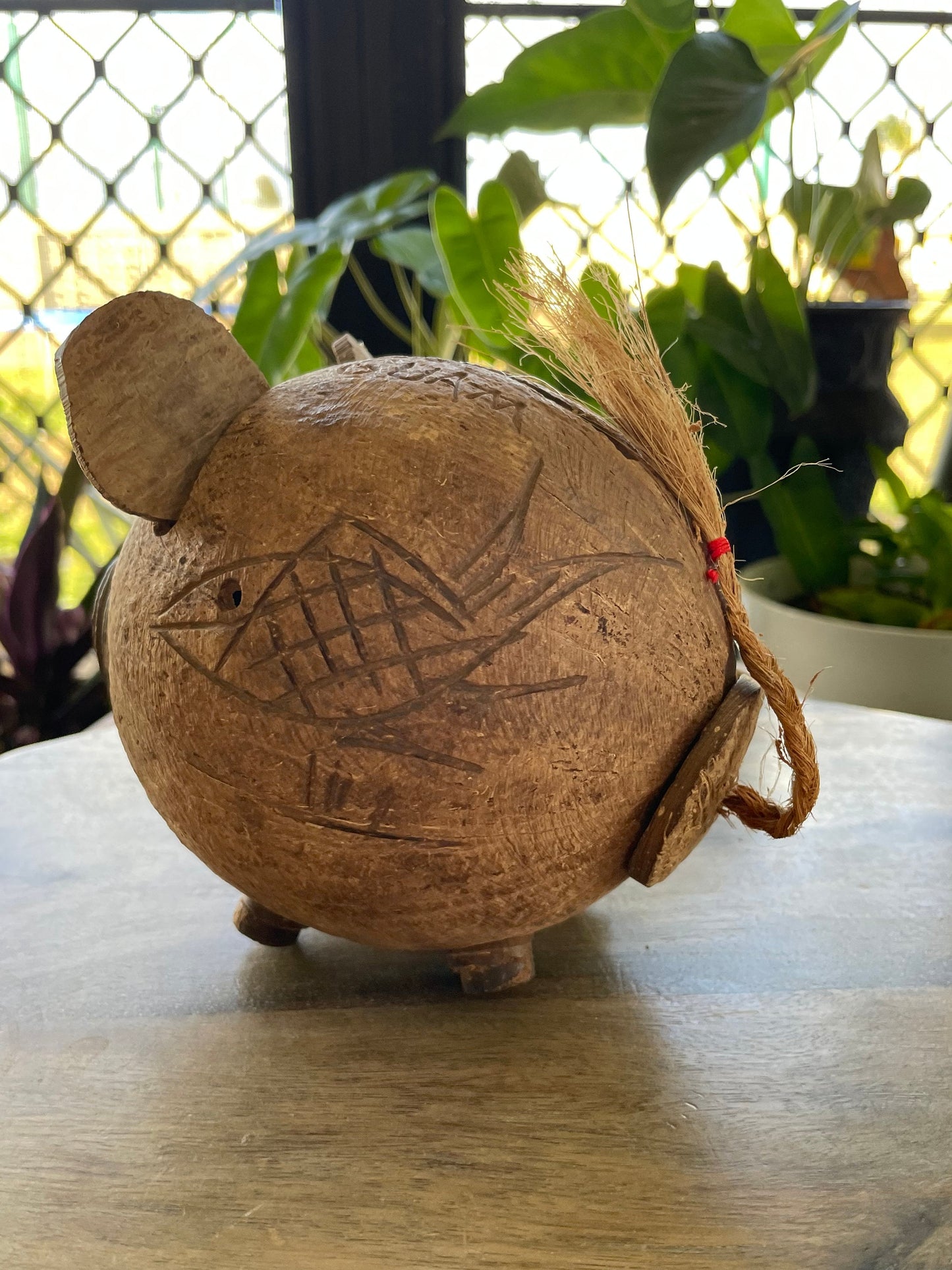 Hand Carved Coconut Piggy Bank – Guamanian Folk Art Display