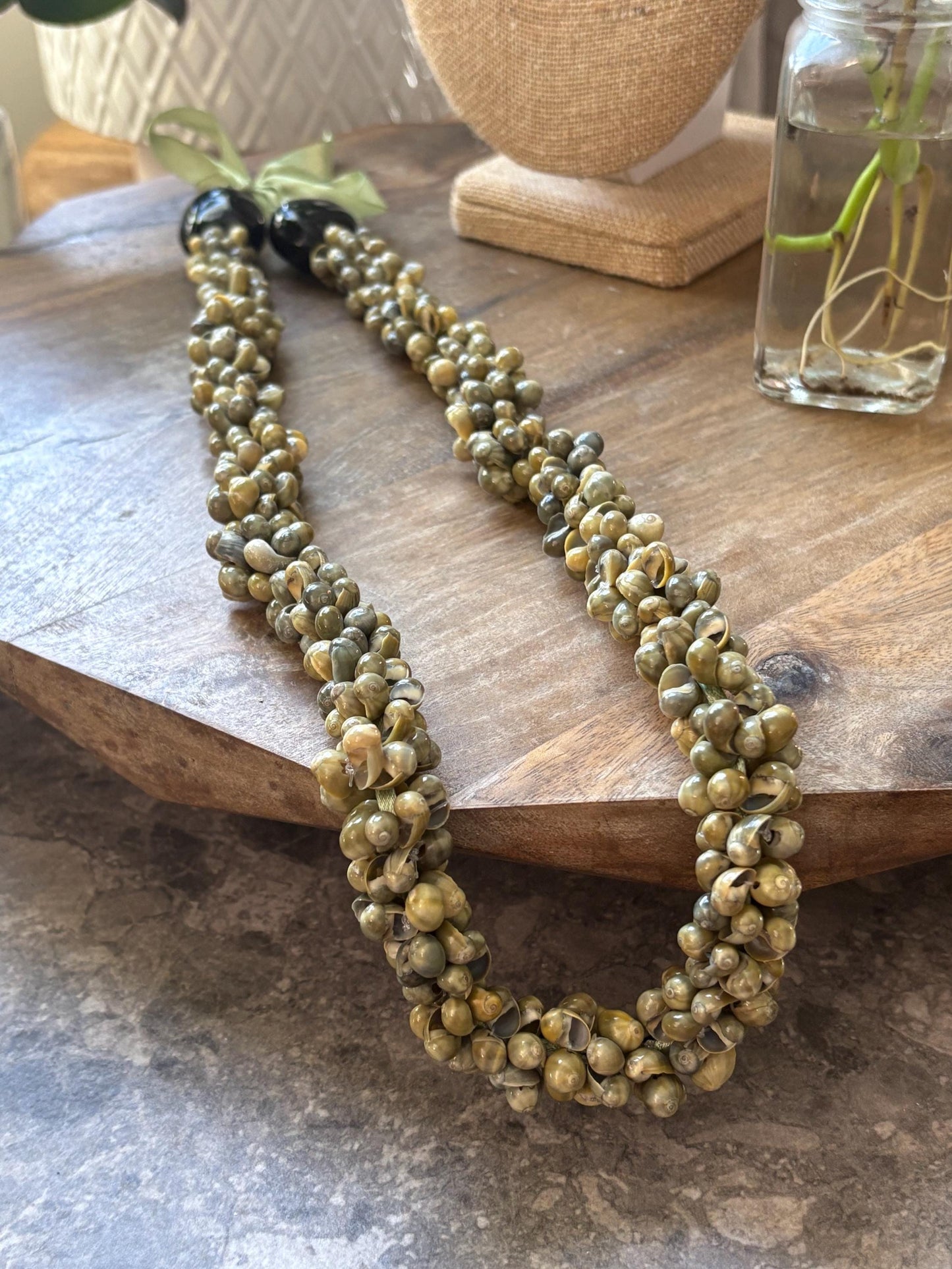 Sage Green Mongo Shell Lei Necklace – Adjustable Ribbon Tie