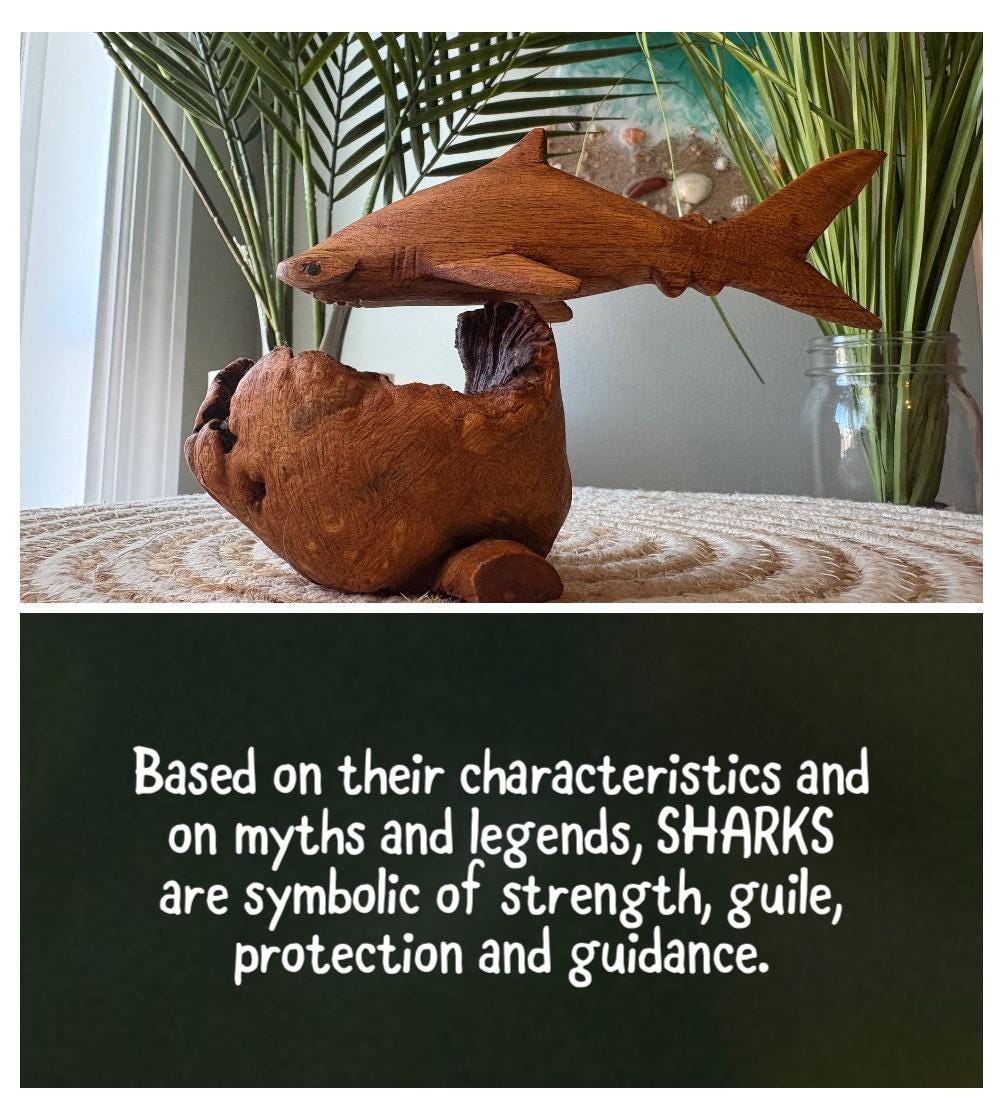 Hand Carved Hammerhead Shark on Leech Wood Base