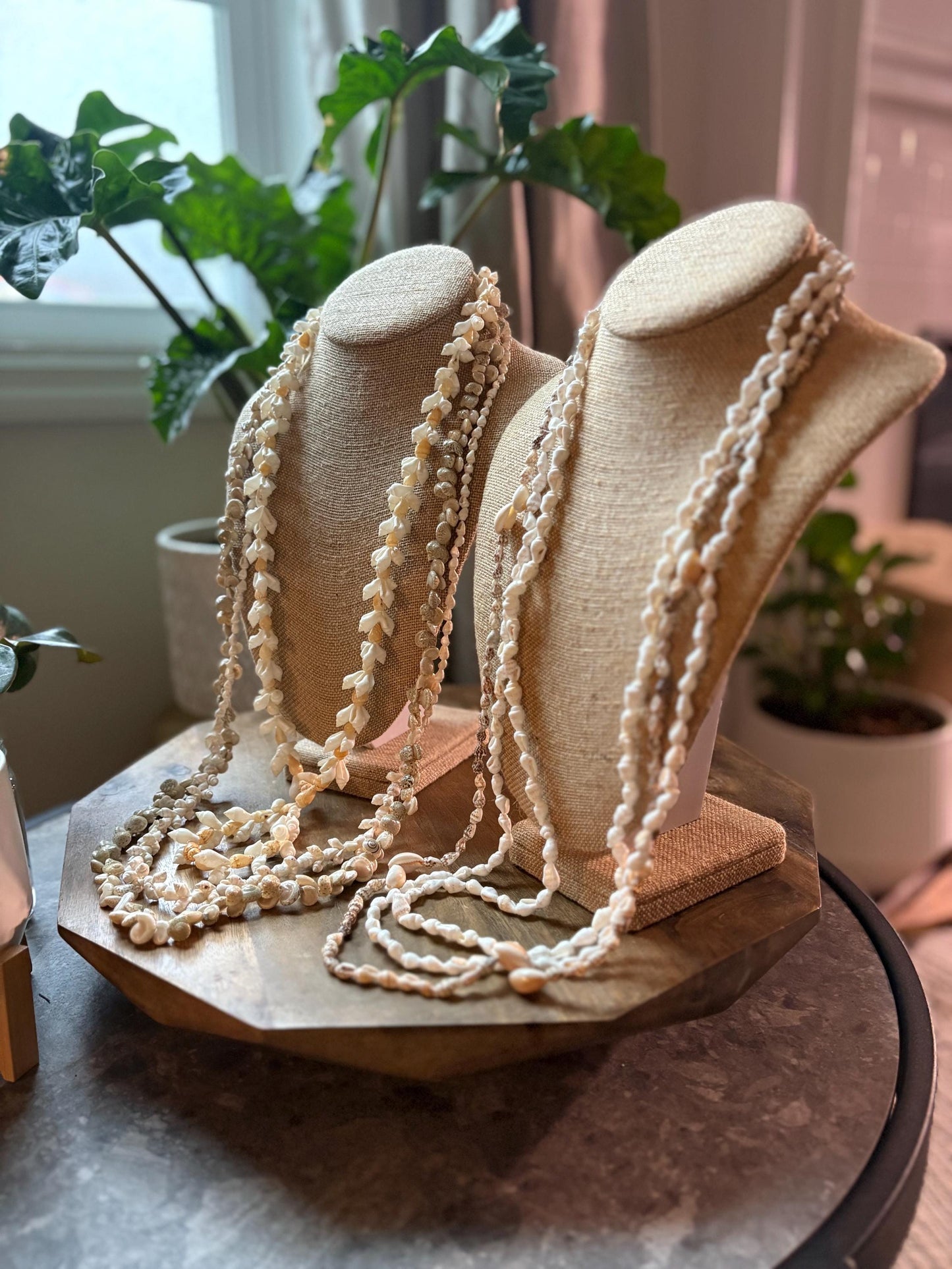 Pacific Seashell Lei Set: Authentic Celebration Leis