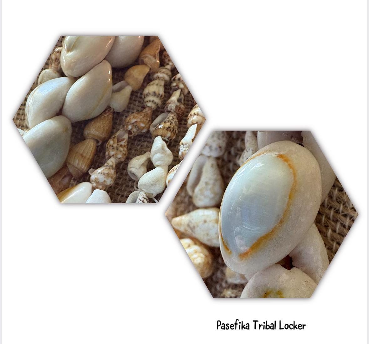 Seashell Lei Set: Authentic Pacific Ocean Shells, Polynesian Celebration Leis