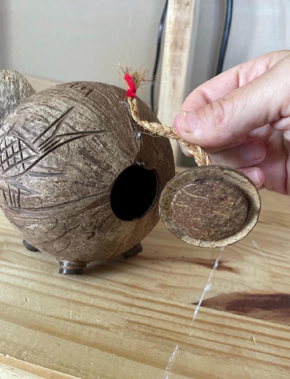Hand Carved Coconut Piggy Bank – Guamanian Folk Art Display