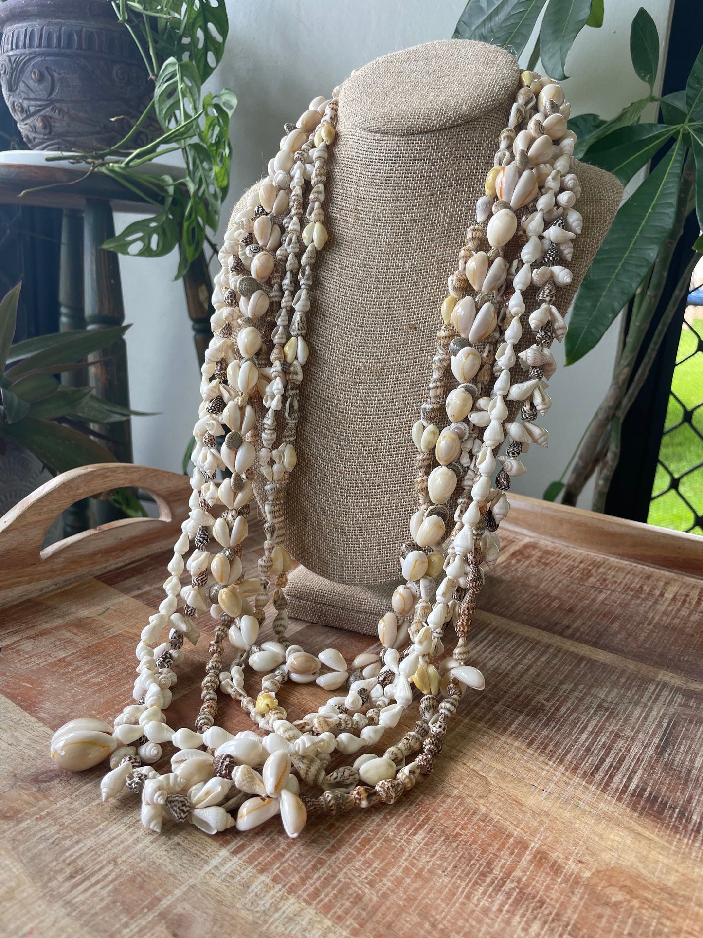 Seashell Lei Set – Pacific Island Celebration Leis, 6 Piece (30-38”)