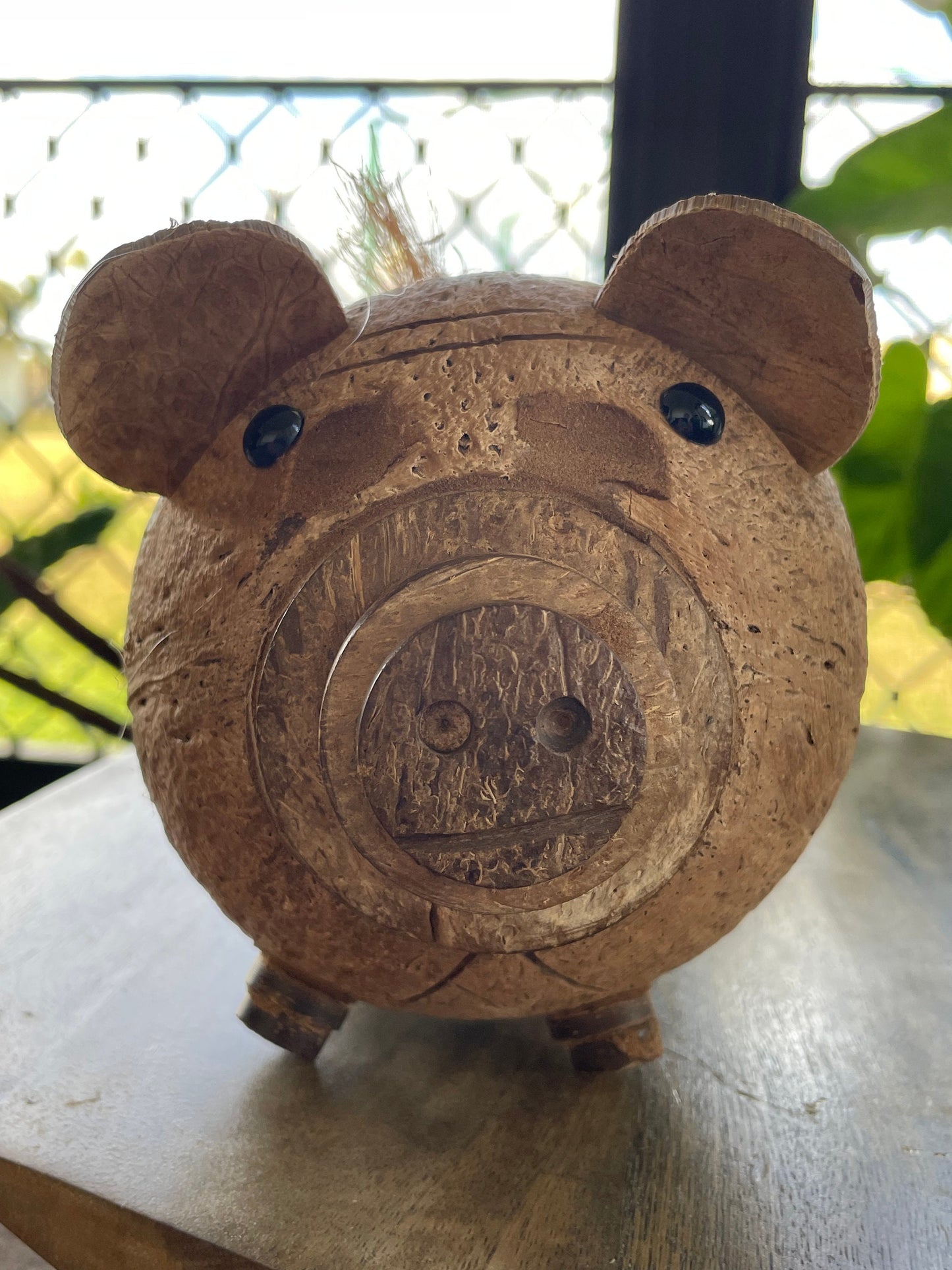 Hand Carved Coconut Piggy Bank – Guamanian Folk Art Display