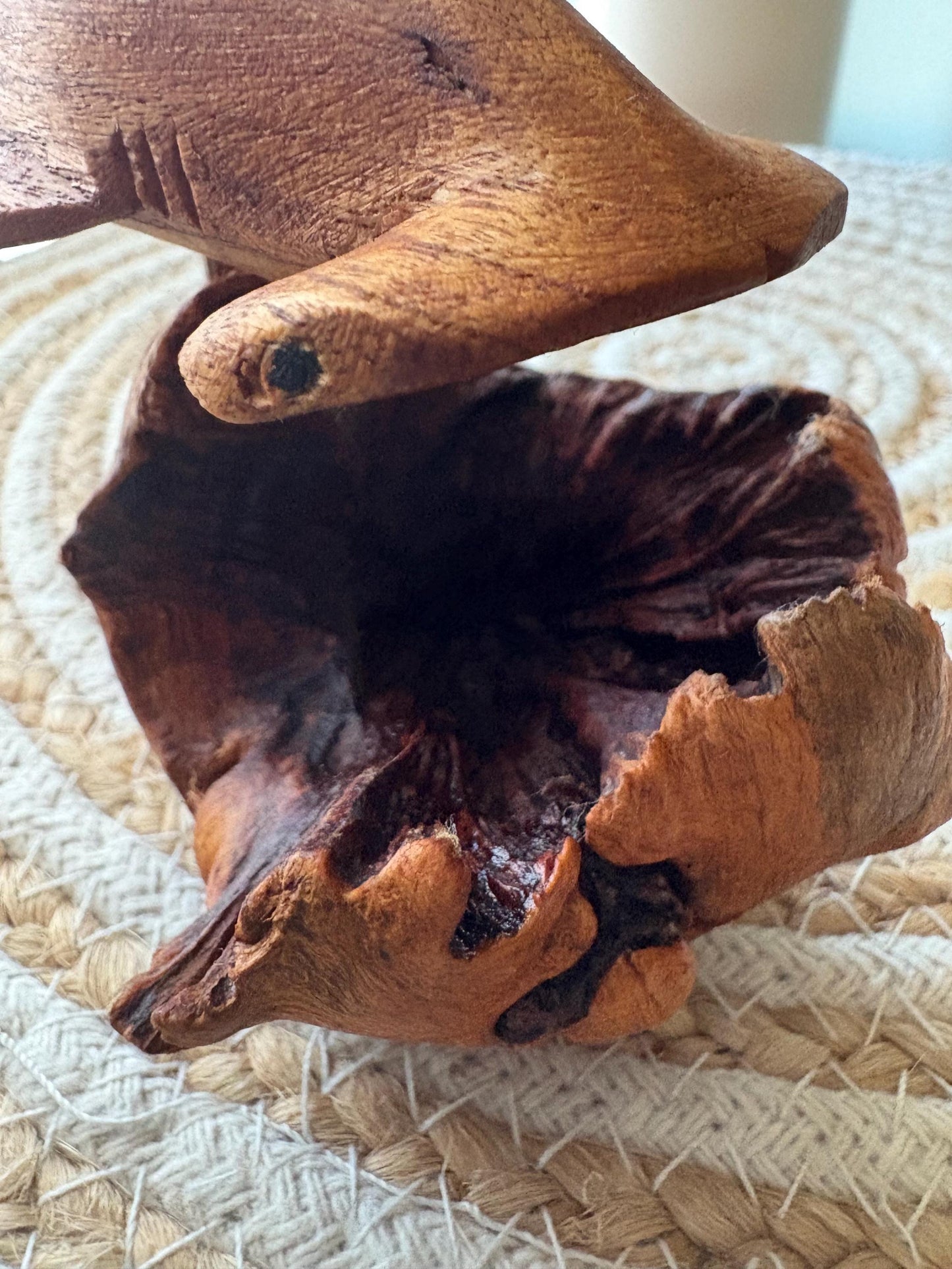 Hand Carved Hammerhead Shark on Leech Wood Base