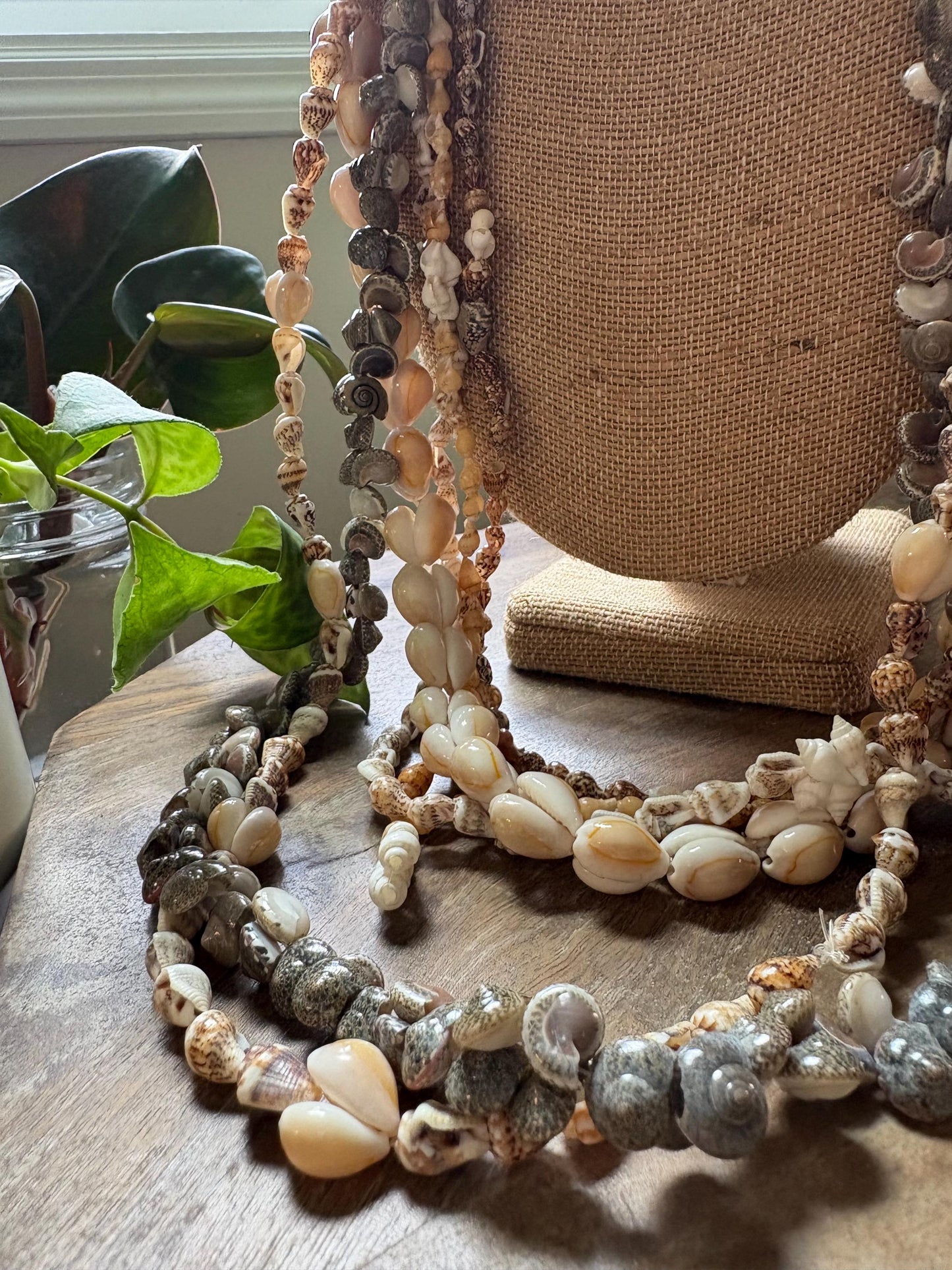 Authentic Seashell Lei Set – Pacific Island Celebration Leis (Set of 6)