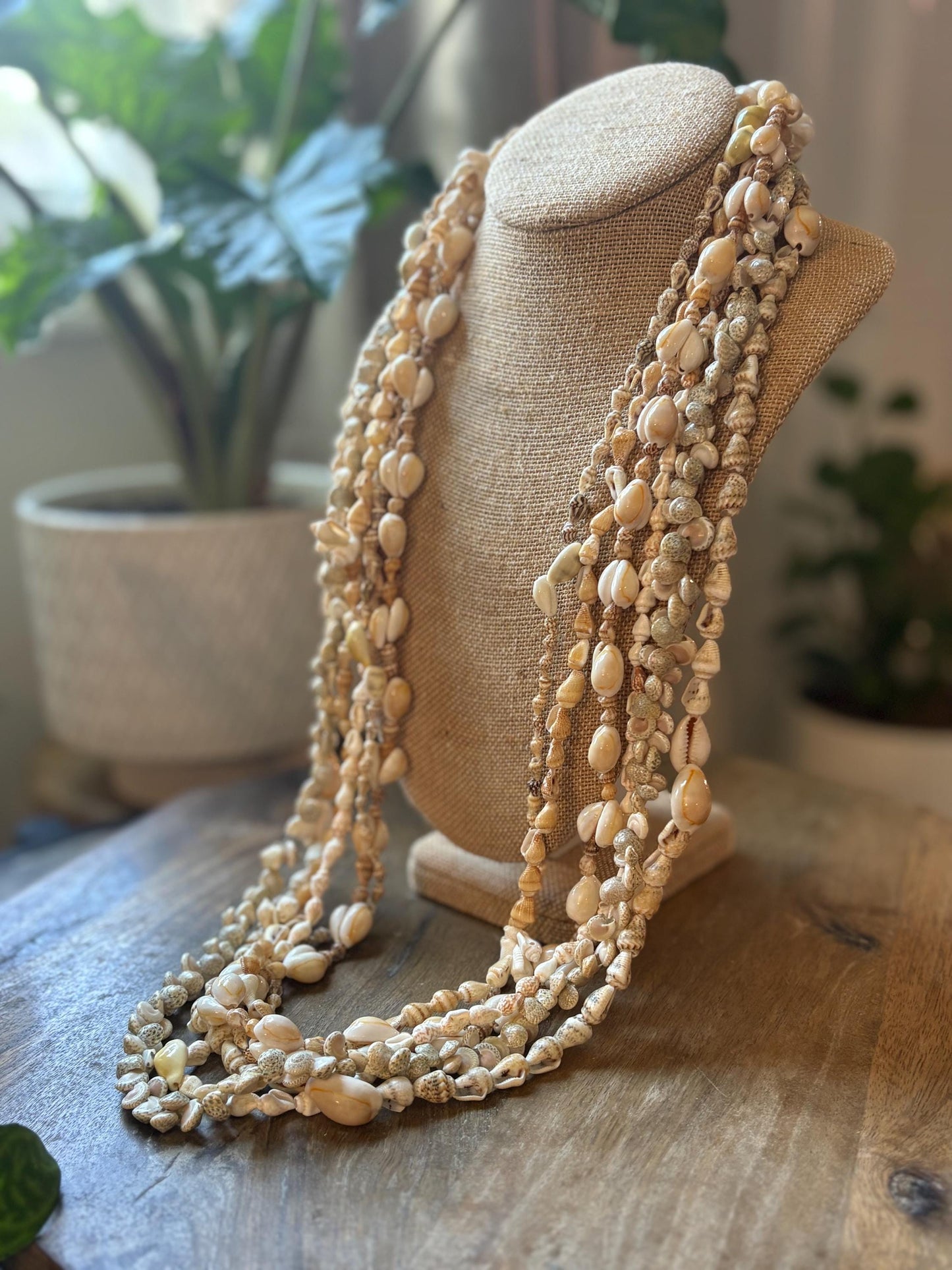Seashell Lei Set – Pacific Ocean Shells, Celebration Leis