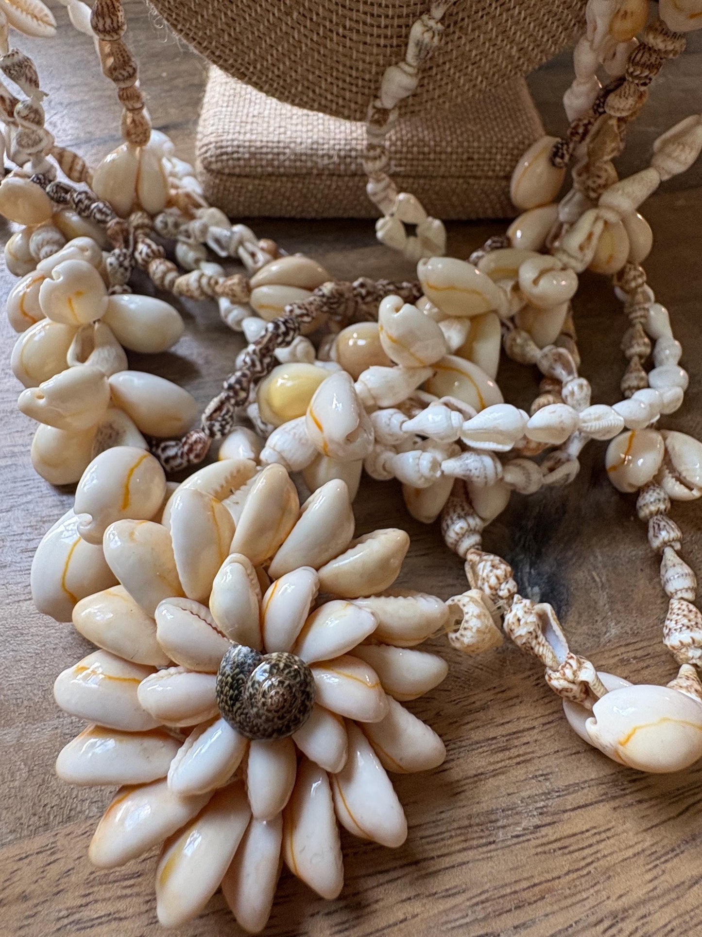 Seashell Lei Set of 6: Natural Pacific Island Celebration Leis