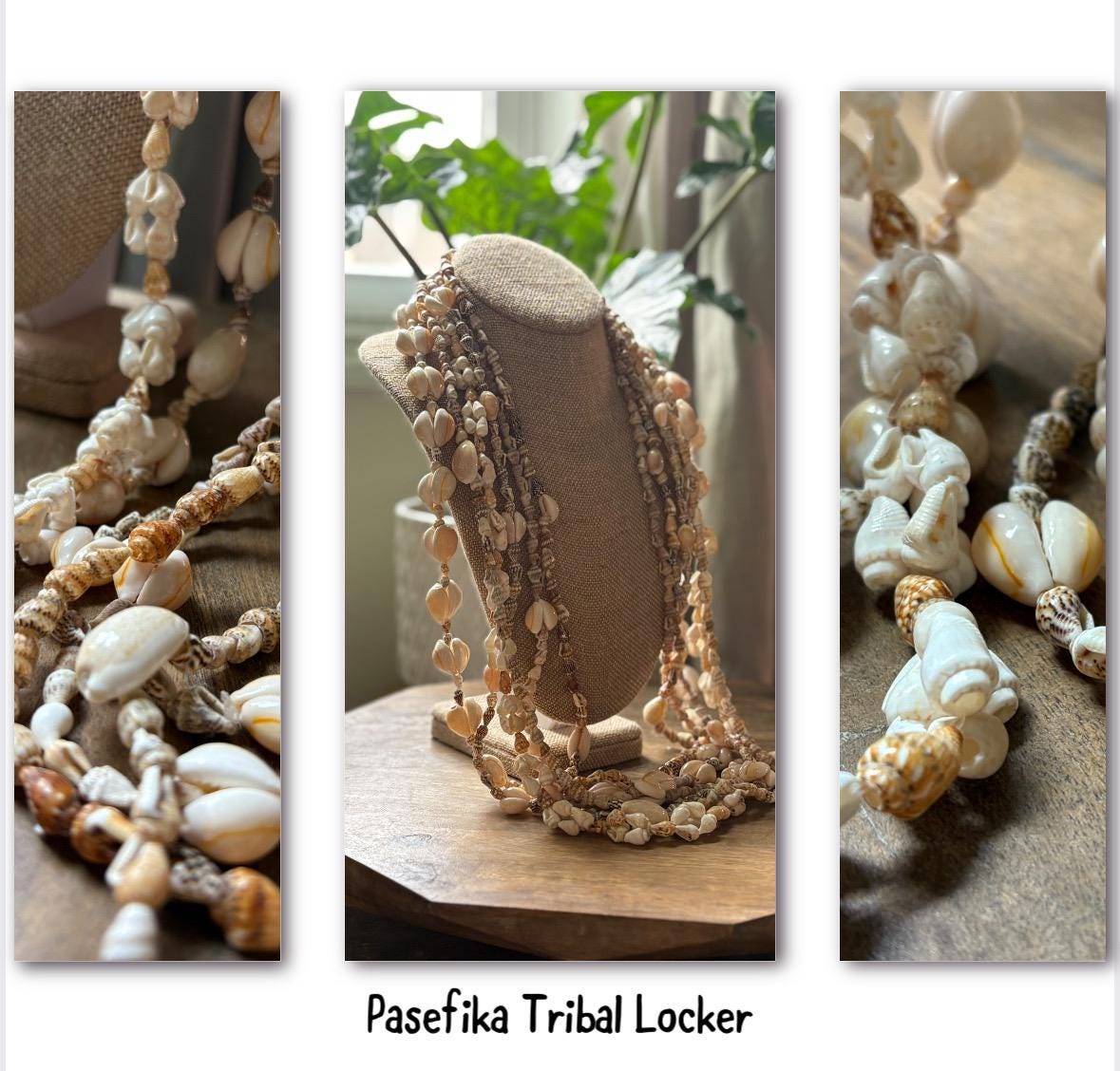 Pacific Islander Collection of 34” Seashell Leis - Graduation, Celebration, Wedding, Birthday, Performance Leis