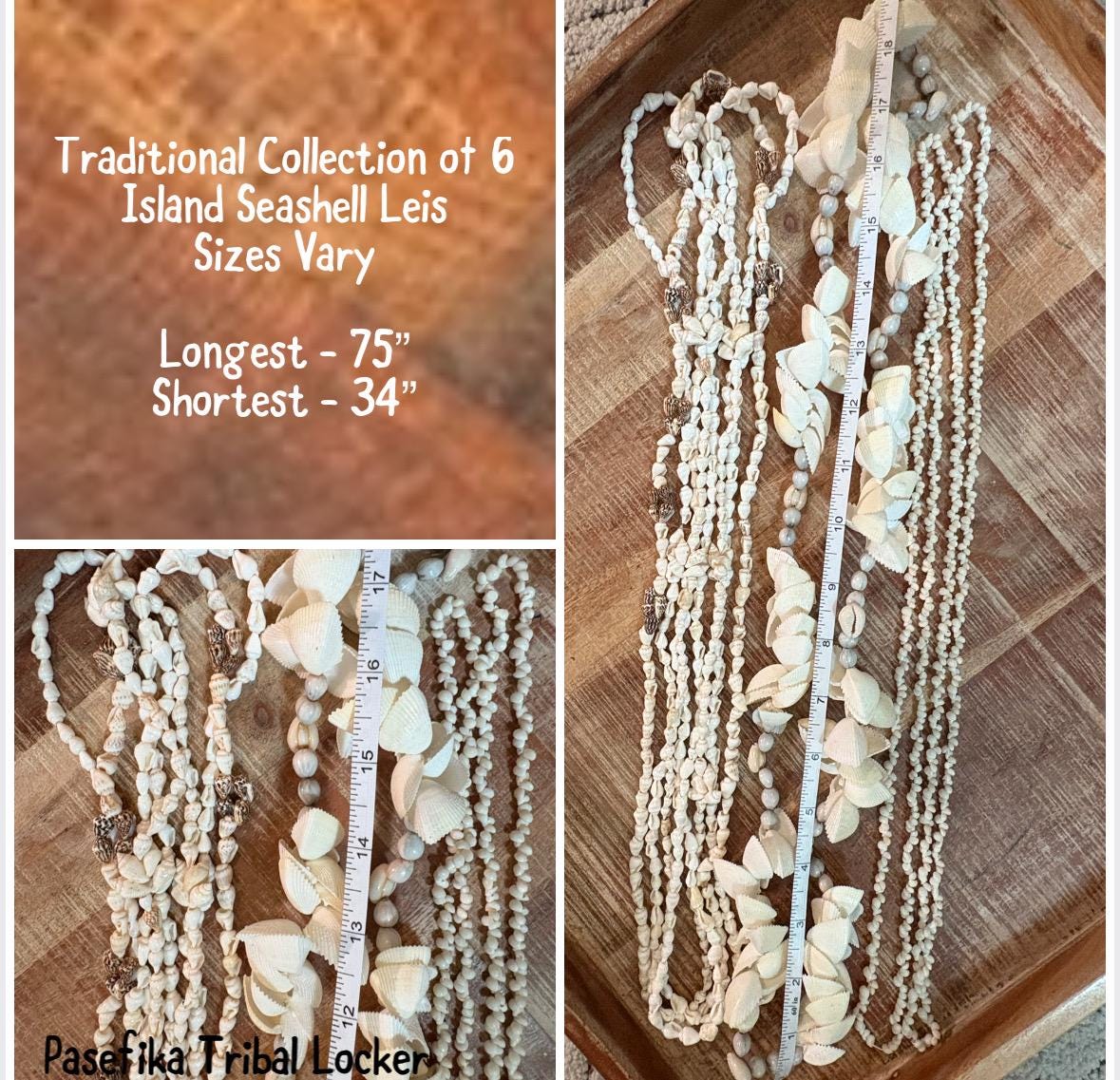 Seashell Lei Set: Pacific Ocean Shells for Celebration, Graduation, Wedding