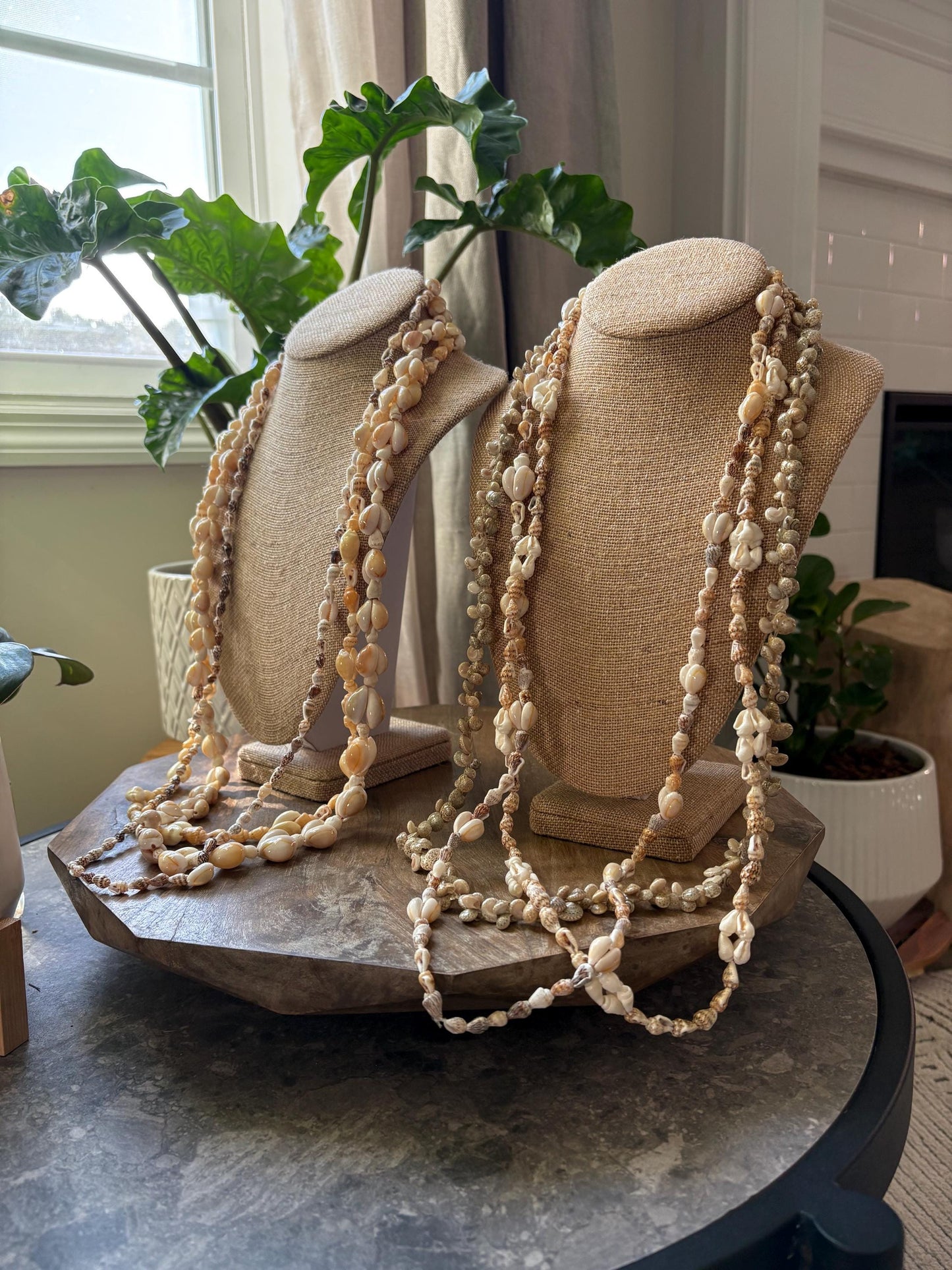 Polynesian and Micronesian Collection of 6 Seashell Leis - Graduation, Celebration, Wedding, Birthday, Performance Leis