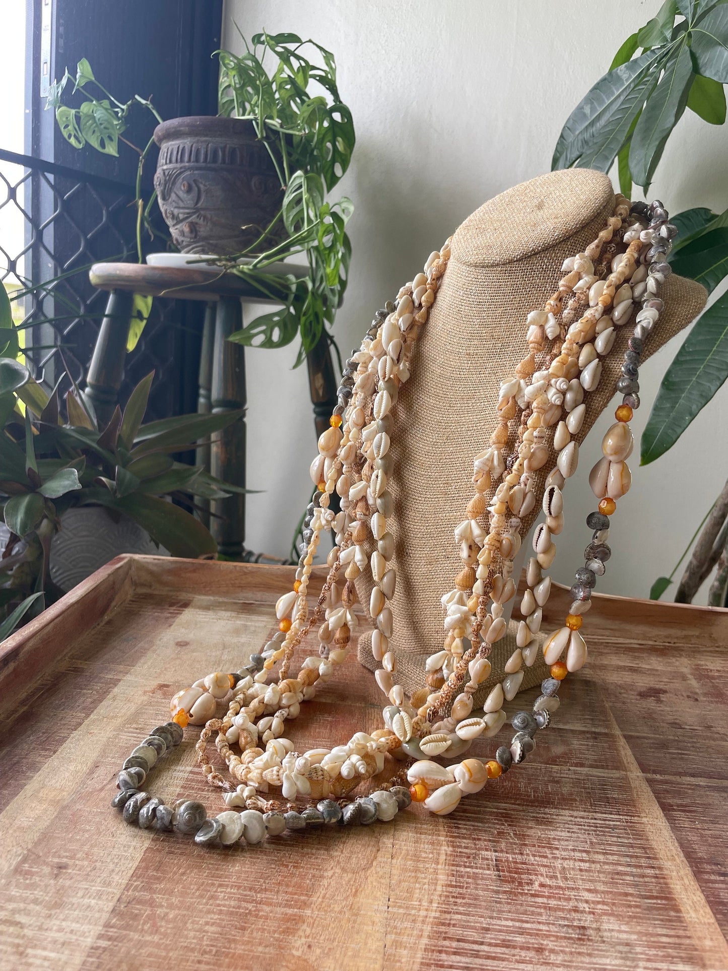 Authentic Seashell Lei Set – Polynesian Celebration Leis, Graduation, Wedding