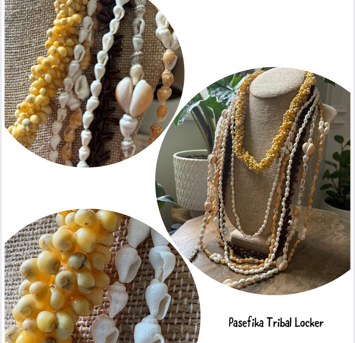 Seashell Lei Set: Authentic Pacific Ocean Shells, Celebration Leis