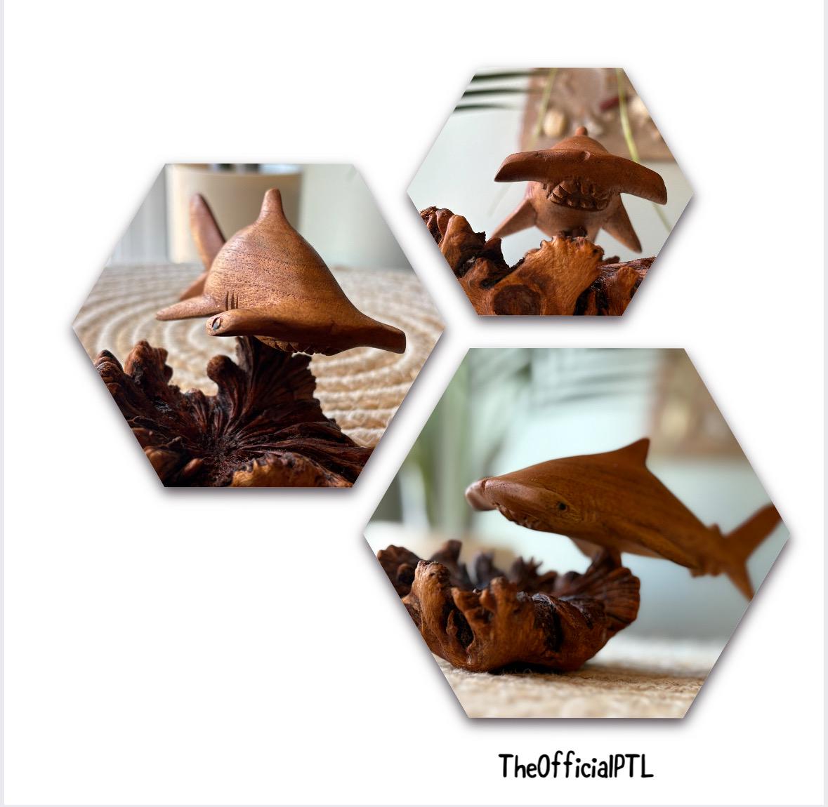 Hand Carved Hammerhead Shark Sculpture on Leech Wood Base