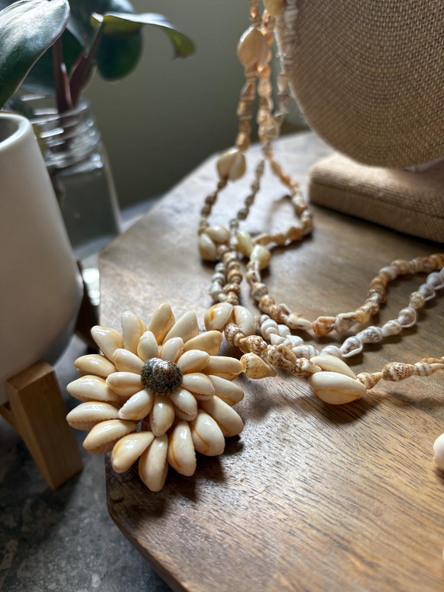Seashell Lei Set of 6: Natural Pacific Island Celebration Leis