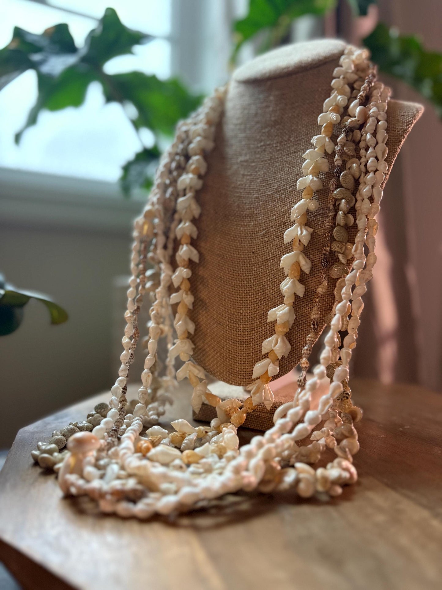 Pacific Seashell Lei Set: Authentic Celebration Leis