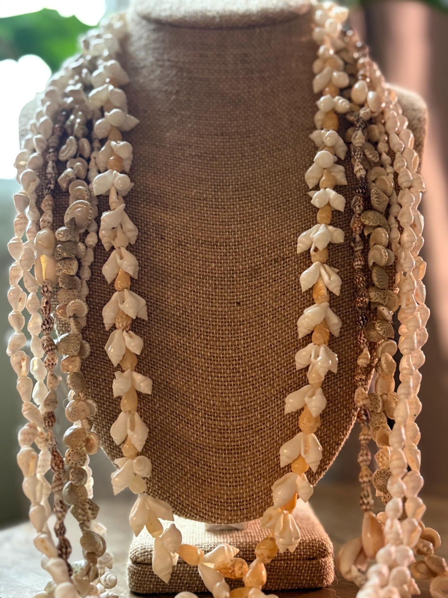Pacific Seashell Lei Set: Authentic Celebration Leis