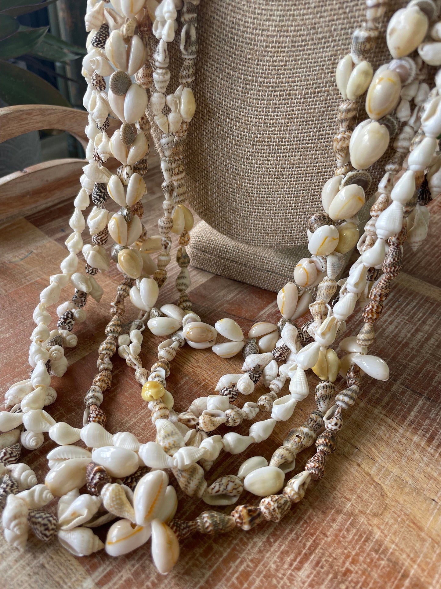 Seashell Lei Set – Pacific Island Celebration Leis, 6 Piece (30-38”)