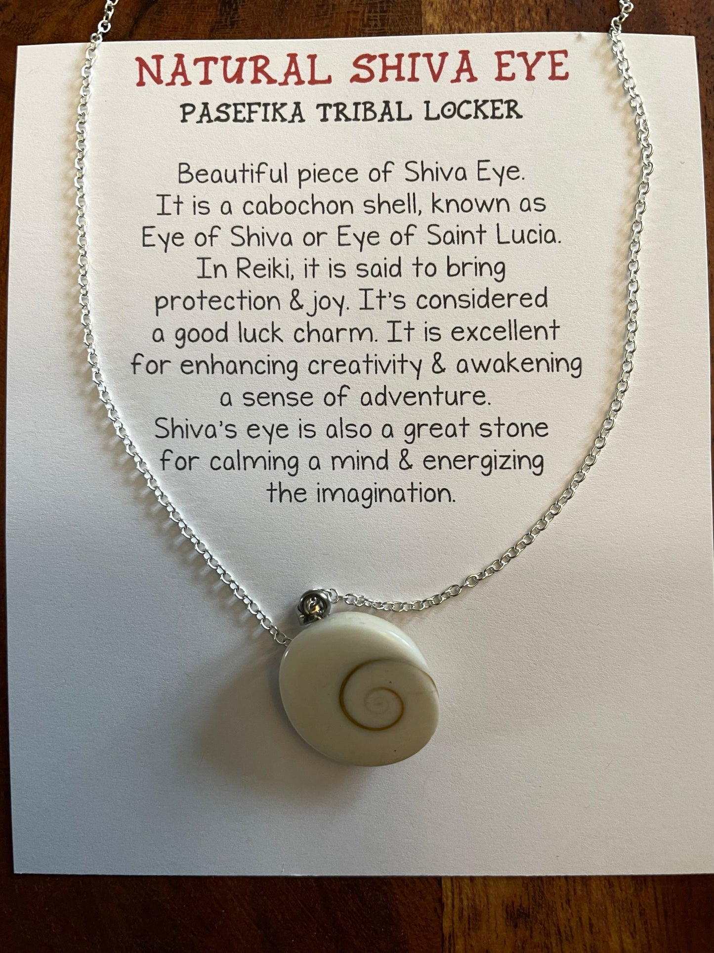 Natural Shiva Eye - Real Authentic Fossilized Seashell Pendant on .925 Silver Plated Chain