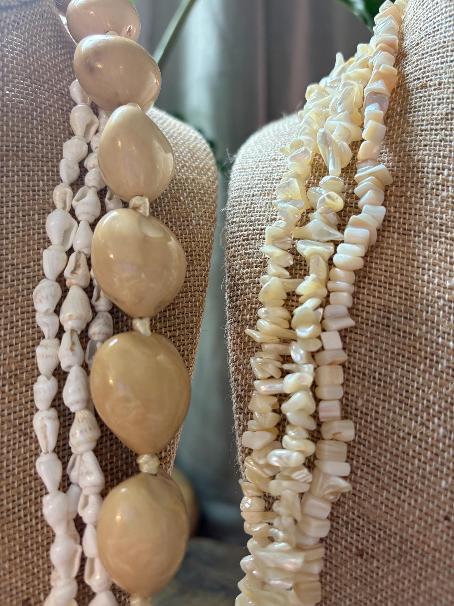 Seashell Lei Set – White & Cream, Polynesian Celebration Leis (6pc)