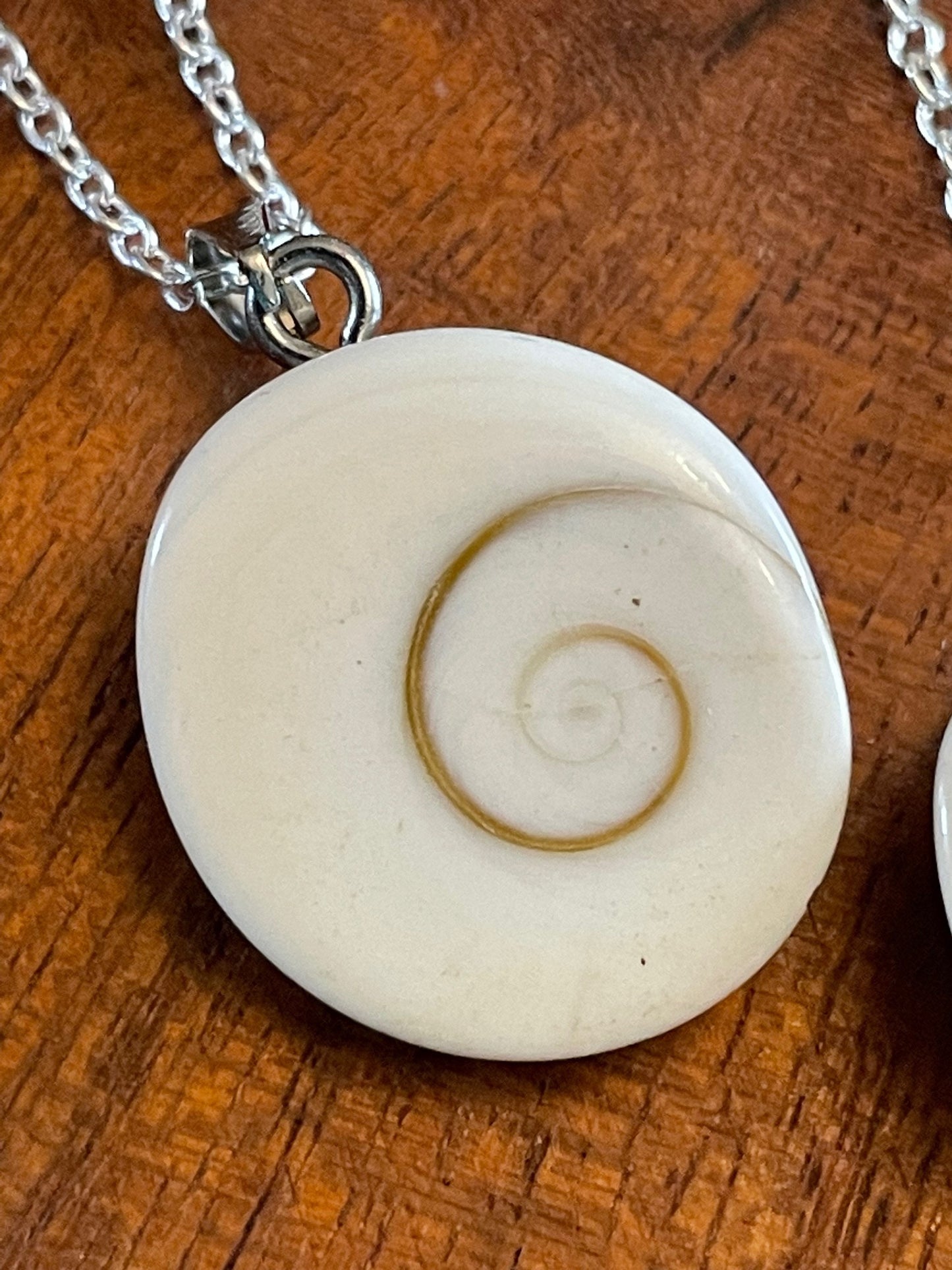 Natural Shiva Eye - Real Authentic Fossilized Seashell Pendant on .925 Silver Plated Chain