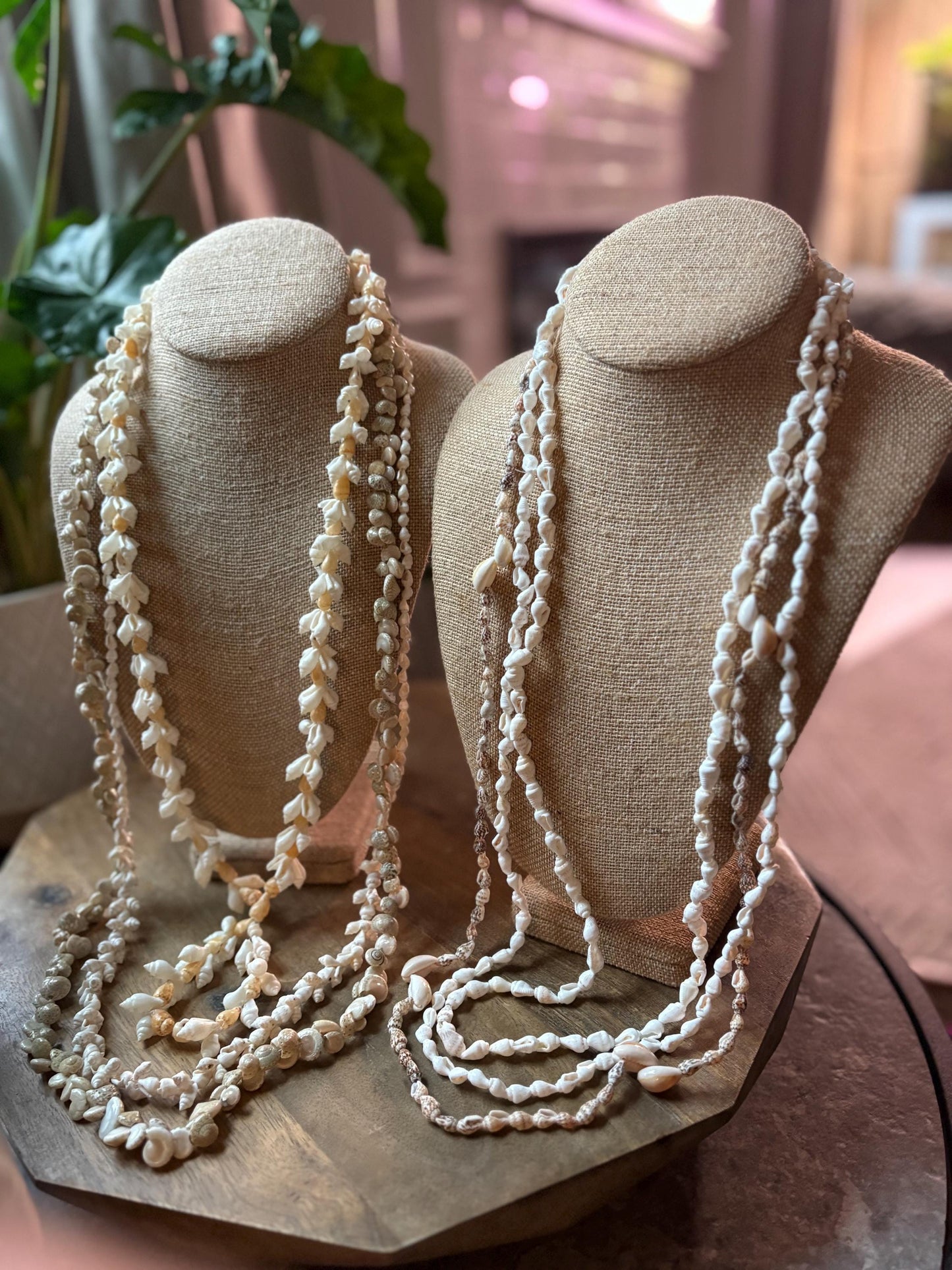 Pacific Seashell Lei Set: Authentic Celebration Leis