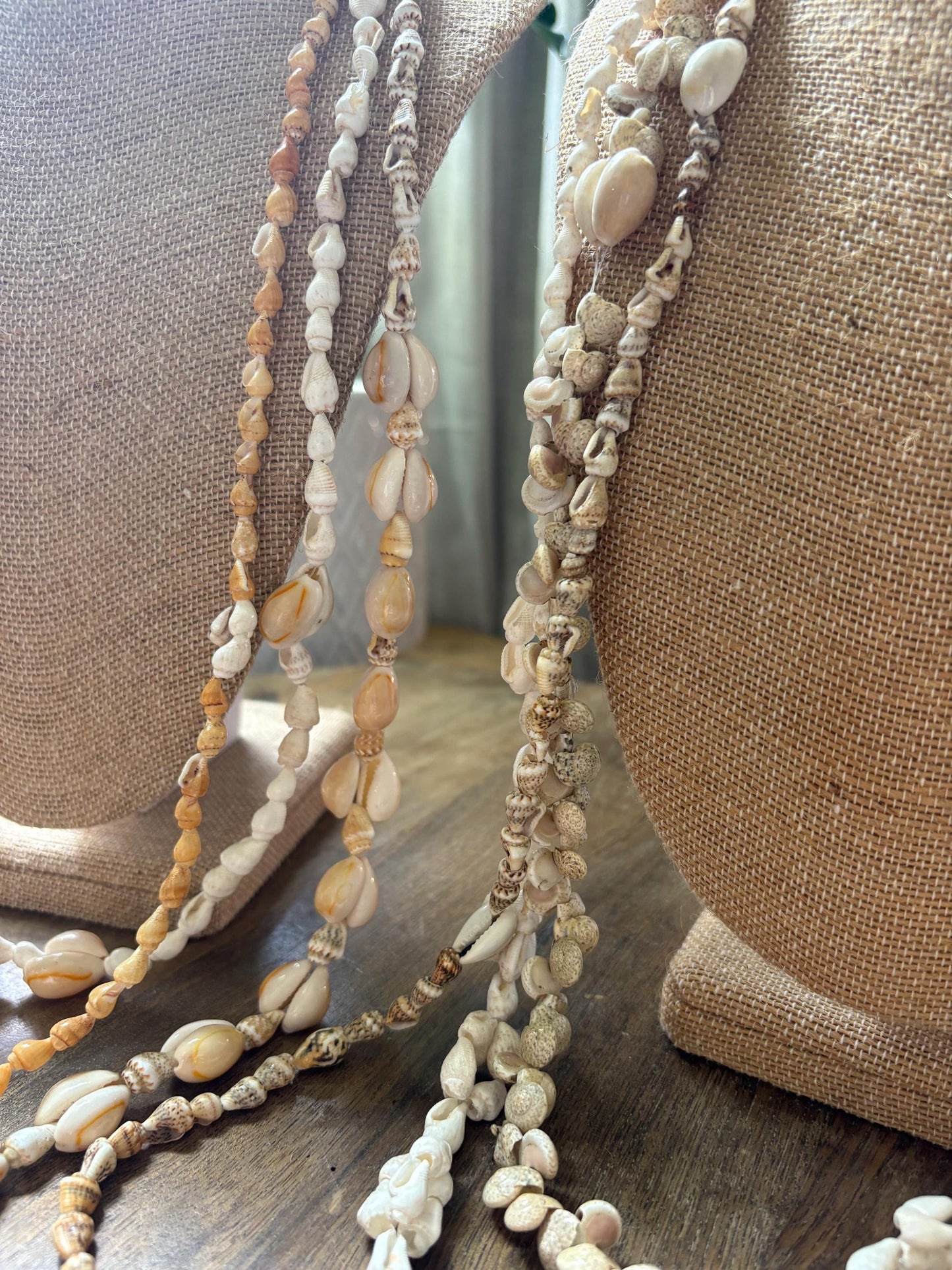 Seashell Lei Set: Pacific Ocean Shell Graduation Leis (34-36")
