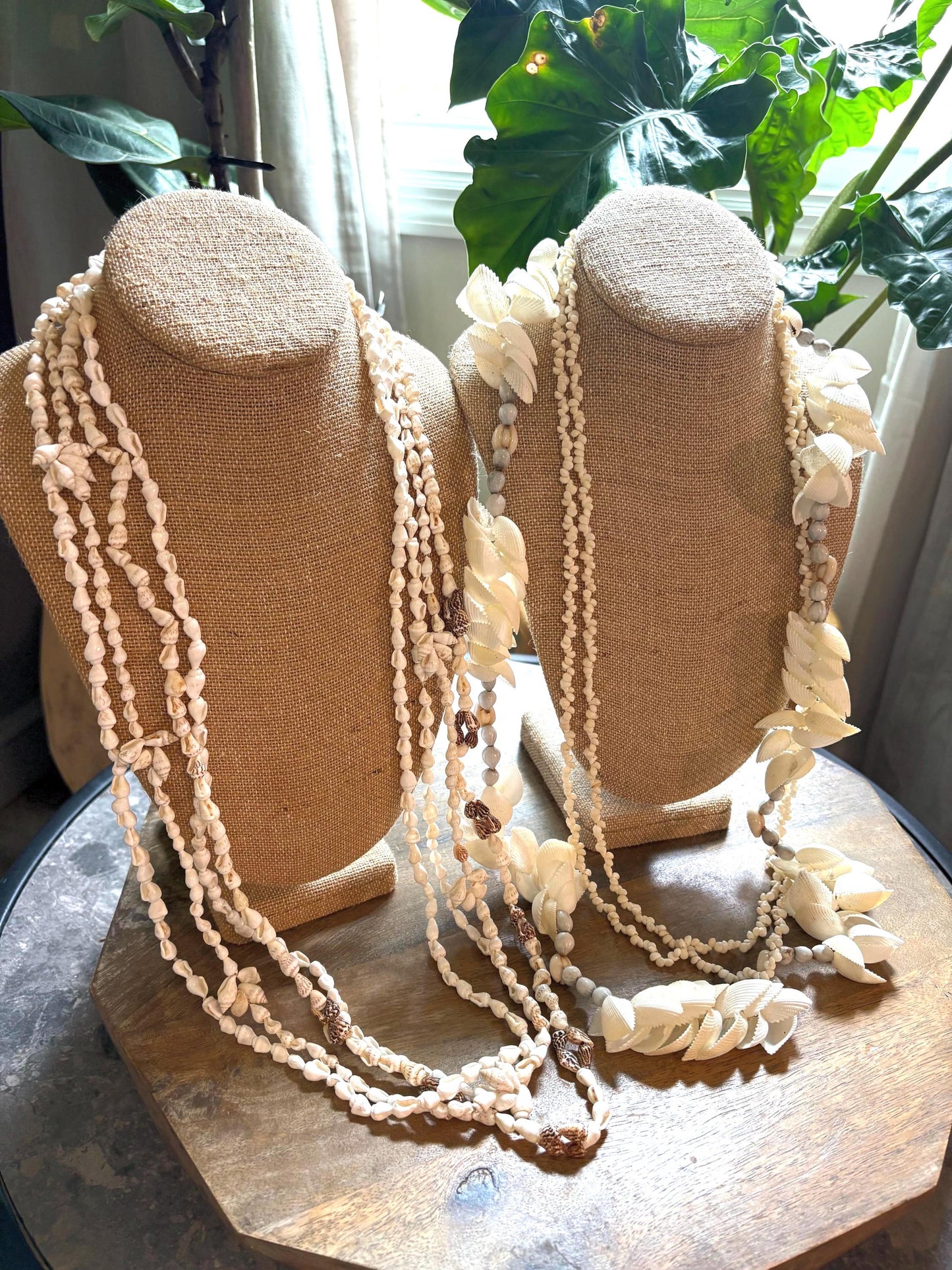 Seashell Lei Set: Pacific Ocean Shells for Celebration, Graduation, Wedding