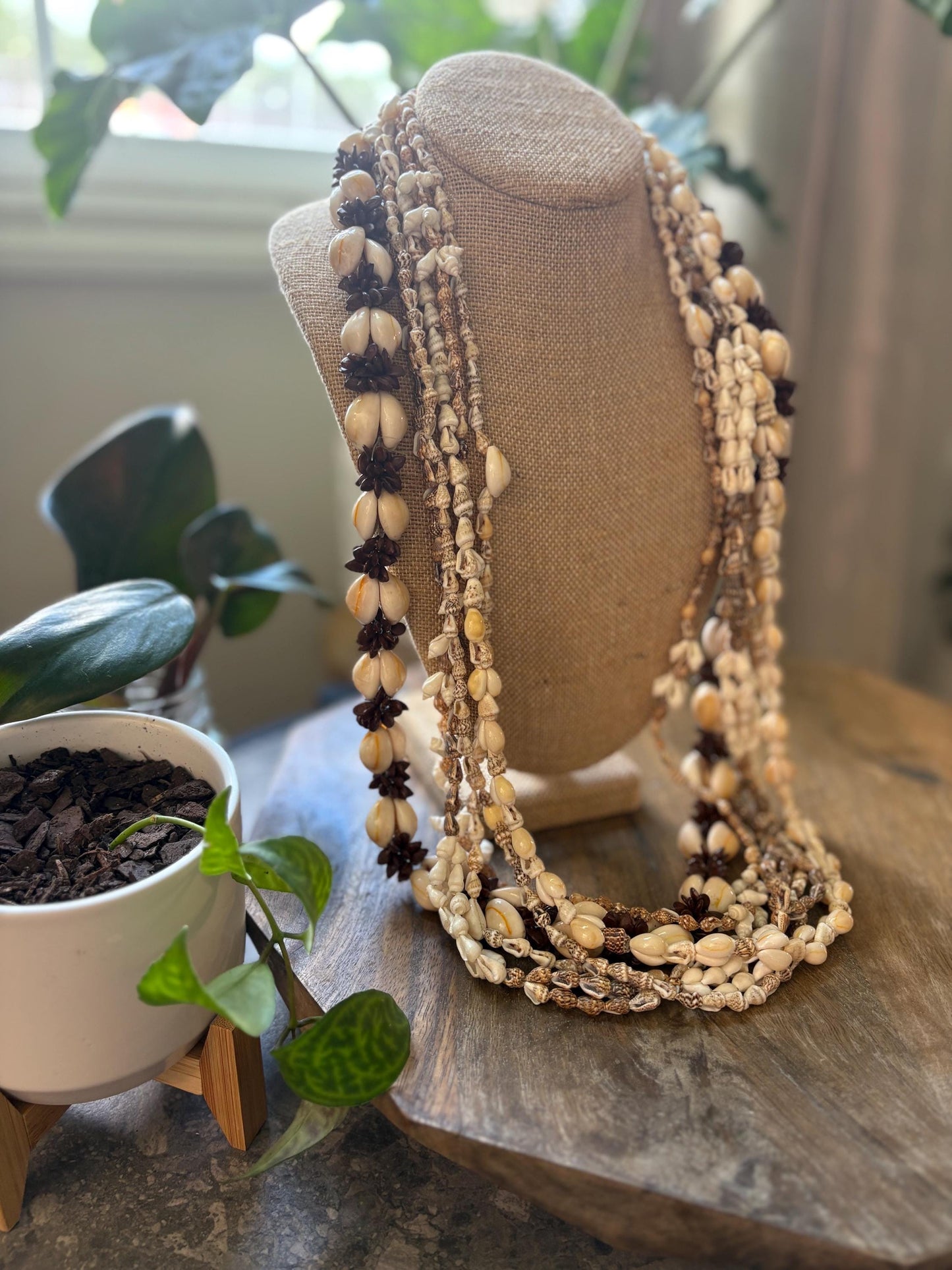 Seashell & Seed Lei Set – Pacific Island Celebration Leis