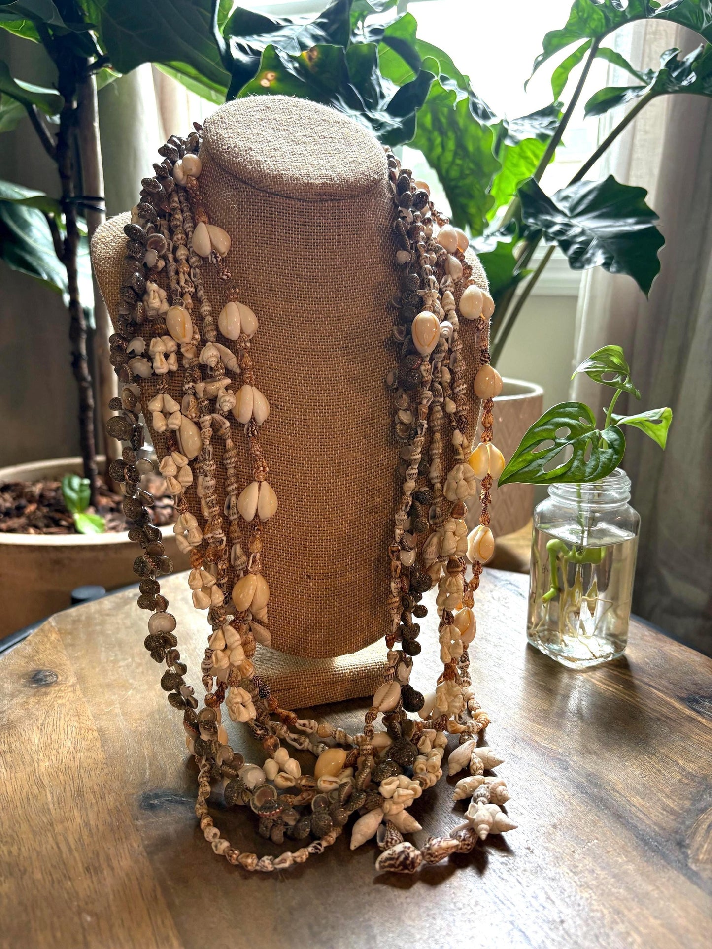 Authentic Seashell Lei Set: Pacific Island Celebration Leis