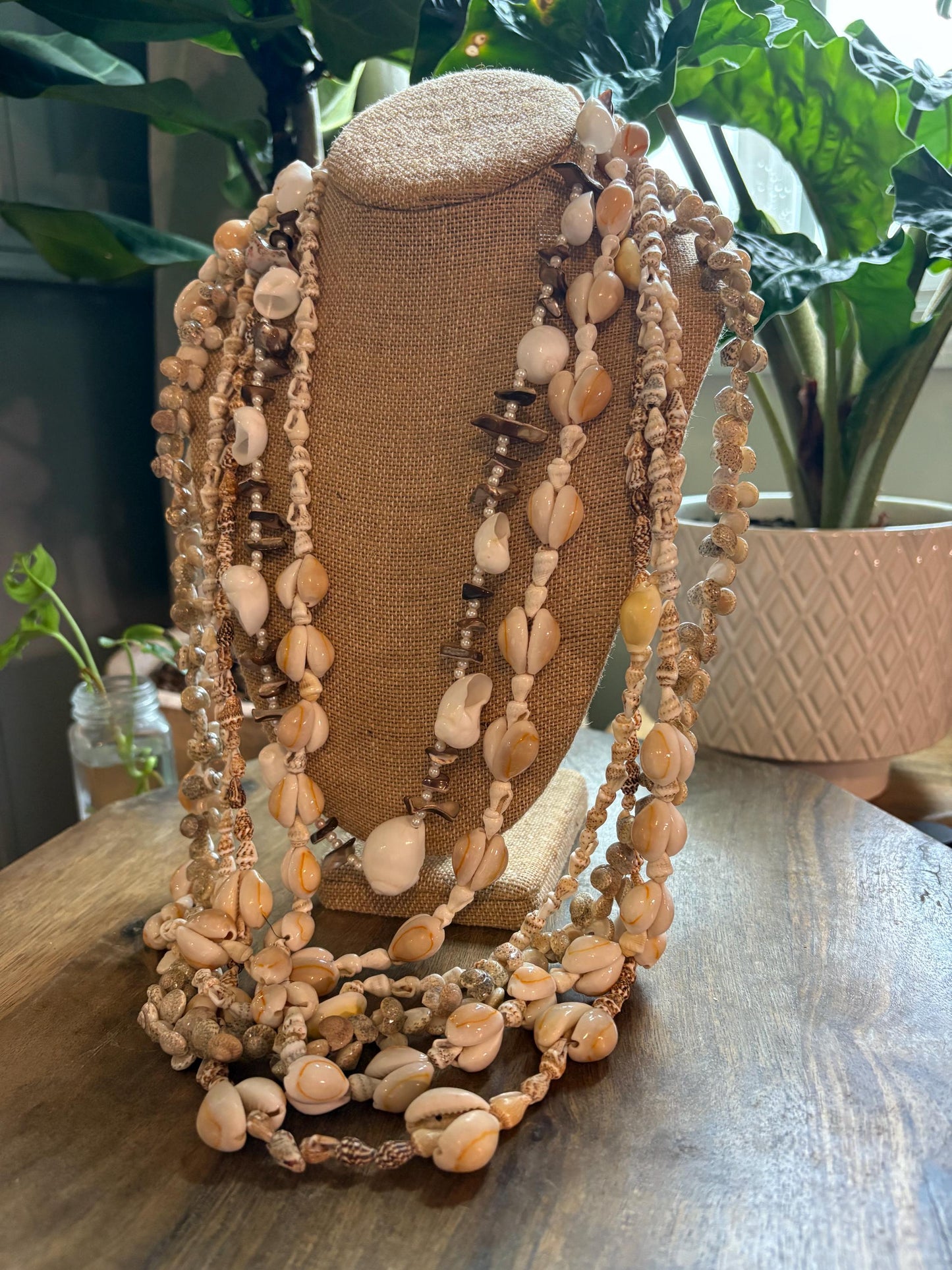 Seashell Lei Collection: Pacific Ocean Shell Leis, Set of 6