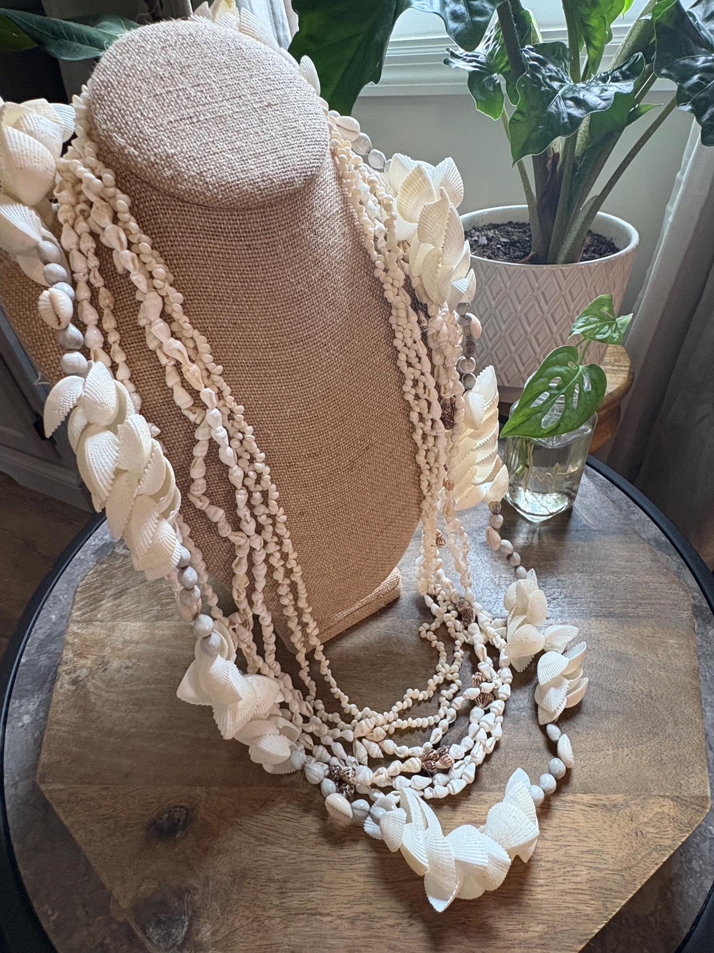 Seashell Lei Set: Pacific Ocean Shells for Celebration, Graduation, Wedding