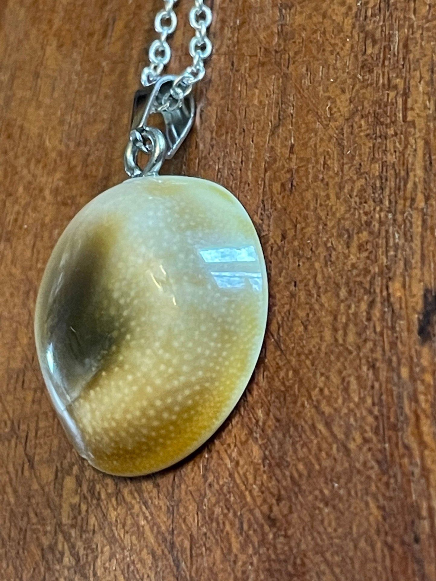 Natural Shiva Eye - Real Authentic Fossilized Seashell Pendant on .925 Silver Plated Chain