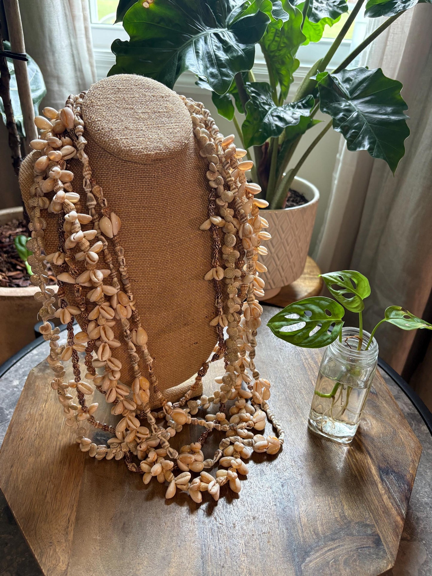 Seashell Lei Collection: Pacific Ocean Shell Leis, Set of 6