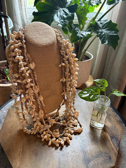 Seashell Lei Collection: Pacific Ocean Shell Leis, Set of 6